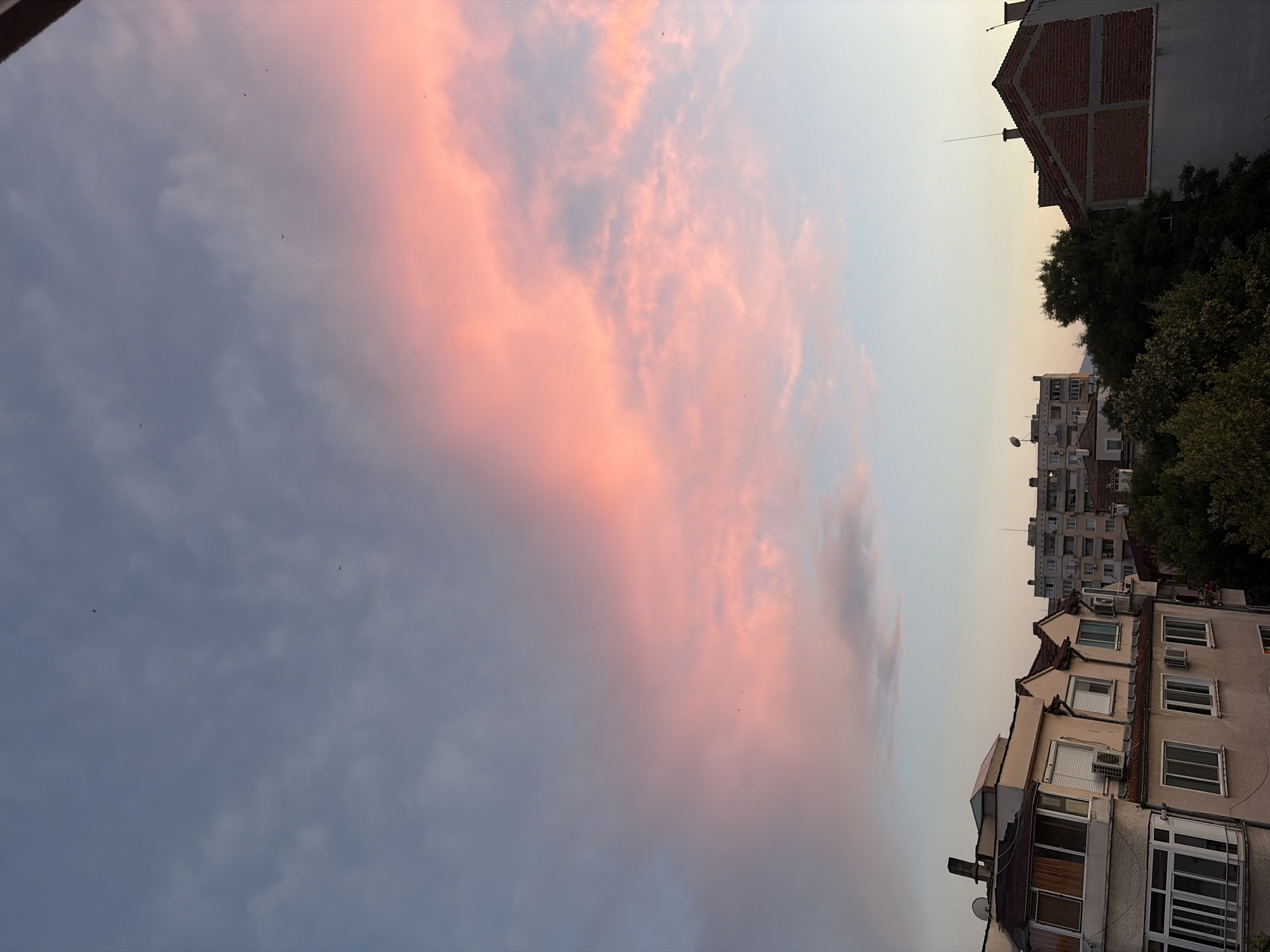 The media file shows an outdoor scene during what appears to be dusk or dawn, with a sky filled with soft pink and gray clouds. The image is oriented vertically, suggesting it was taken from a low vantage point looking upwards.
In the foreground and extending into the middle ground are parts of several apartment buildings, seen from a side or slightly elevated perspective. These buildings have multiple windows, some with visible air conditioning units and balconies. The architecture suggests an urban setting, possibly in Eastern Europe due to the style of construction. One building in the upper right has a red brick facade with visible concrete structural elements. Lush green trees are also visible, interspersed between the buildings.
The sky is a prominent feature, with a large cloud formation streaked with vibrant pink, contrasting with the cooler gray clouds and the pale blue of the sky. A few small, dark shapes that appear to be birds are scattered in the sky. The lighting suggests it is either sunrise or sunset, casting a warm glow on the clouds. No people are visible in the image. There is no visible text. The overall mood is serene and peaceful, capturing the beauty of the sky at twilight.