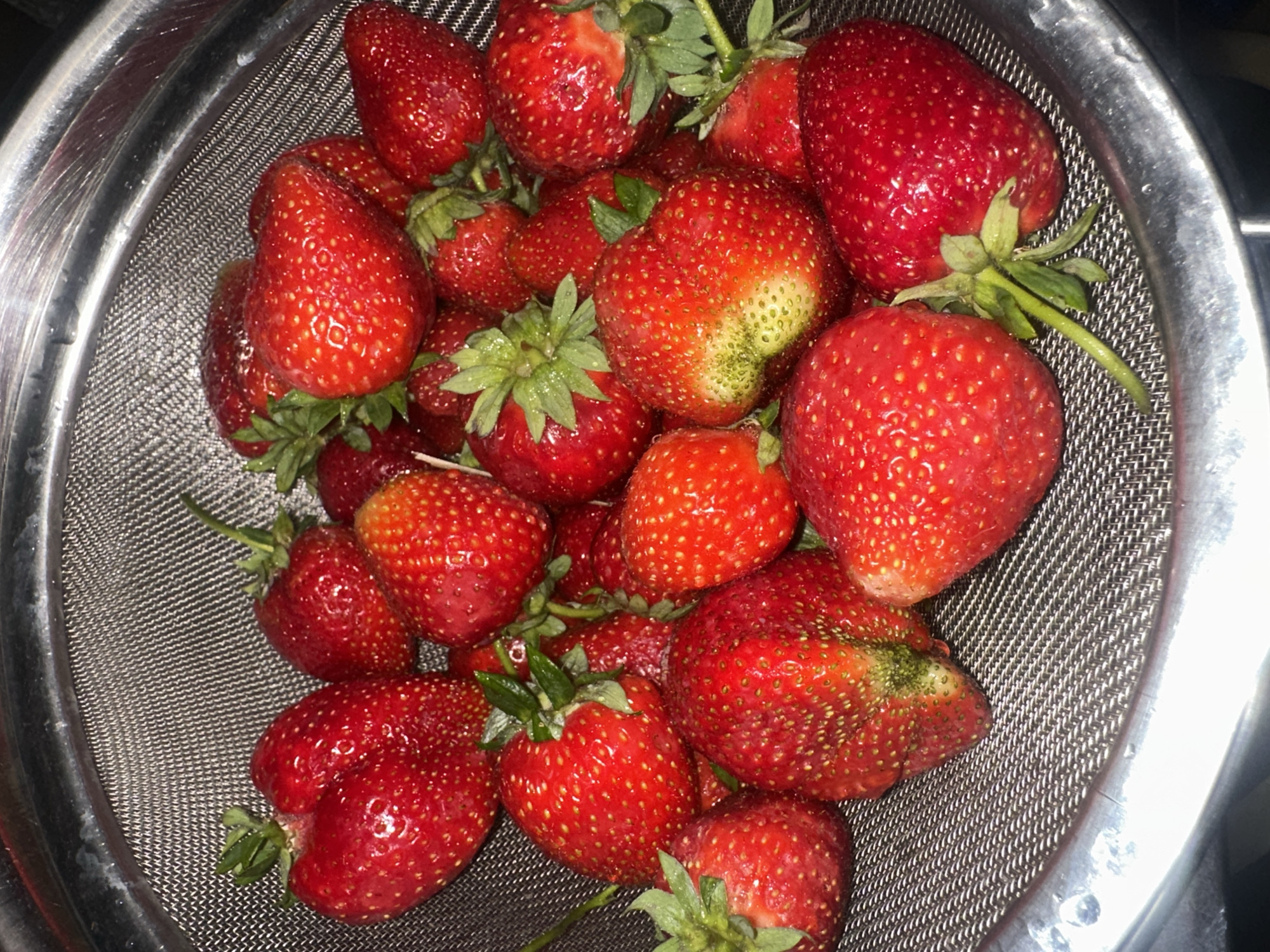 The image displays a close-up, overhead view of a metal colander filled with ripe strawberries. The colander is situated in what appears to be a kitchen setting, with a dark background that suggests artificial lighting. The strawberries are a vibrant red, with some exhibiting slight green undertones near the stems, indicating varying degrees of ripeness. Their surfaces are dotted with tiny seeds. The mesh of the colander is clearly visible, showing its fine, woven pattern. There are no people present in the image, and no discernible city or location details are visible within the frame to suggest Ternopil, Ukraine. The scene is static, focusing solely on the produce within the colander.