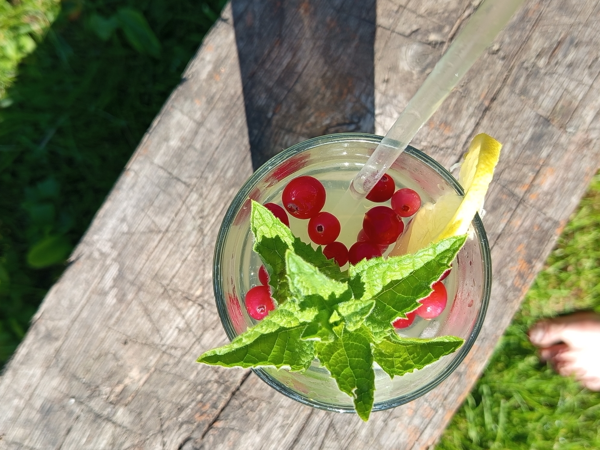 A top-down, close-up shot shows a glass of lemonade with cranberries and mint, resting on a wooden table outdoors. A clear plastic straw extends from the glass. A slice of lemon is visible on the side of the glass. The background consists of green grass and dappled sunlight, suggesting a warm, sunny day. A blurred human foot is visible in the lower right corner, indicating a person's presence. The scene evokes a sense of refreshment and relaxation on a summer day. The photo was taken in Ostrovtsy, Russia. There is no visible text in the image.