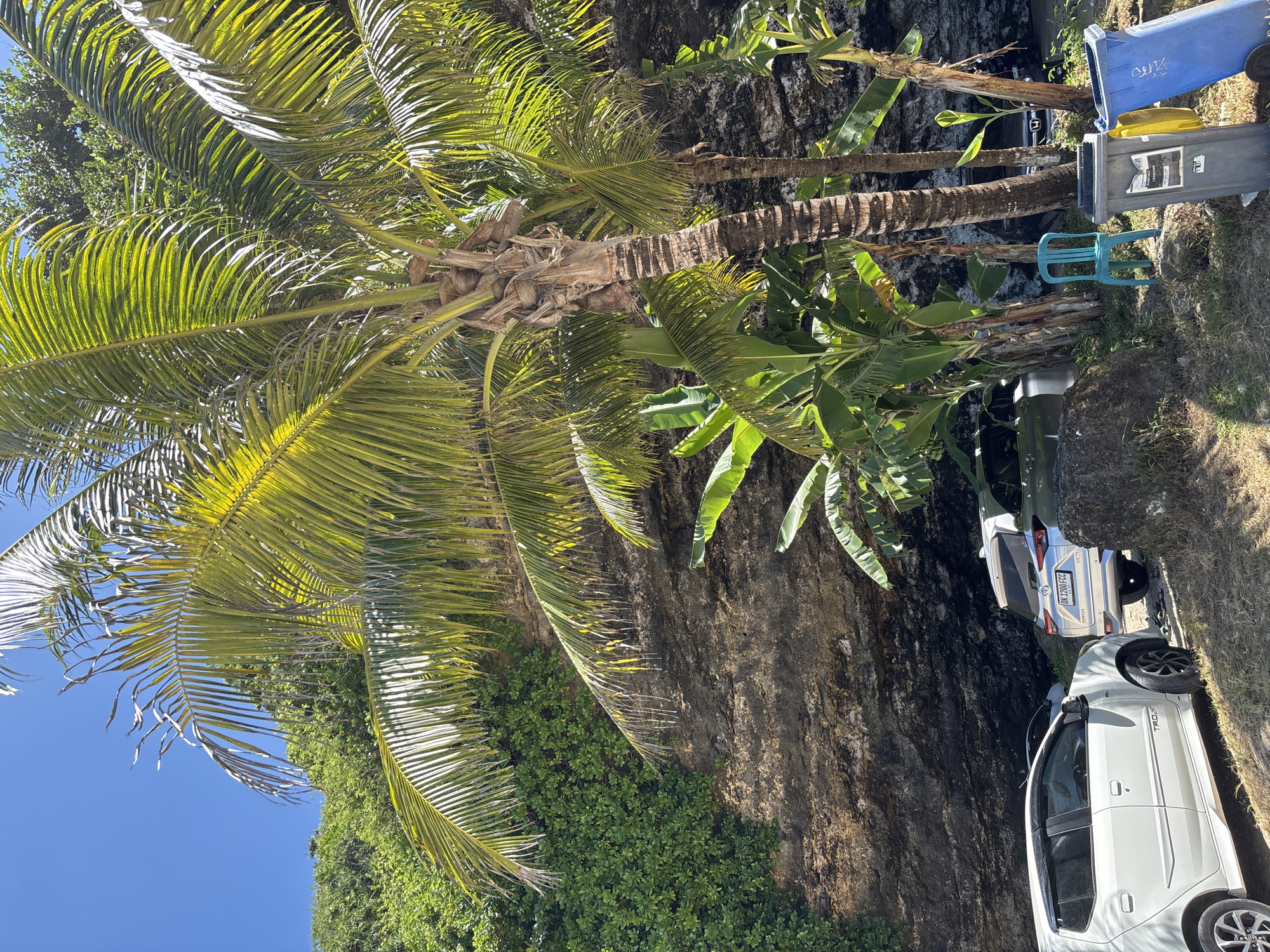 The image captures an outdoor scene in Kutuh, Indonesia. Two white cars are parked alongside a stone cliff partially covered in vegetation. In the background, two palm trees and two banana trees are visible, along with a blue child's chair and two bins, one blue and one gray. The sky is clear and blue.