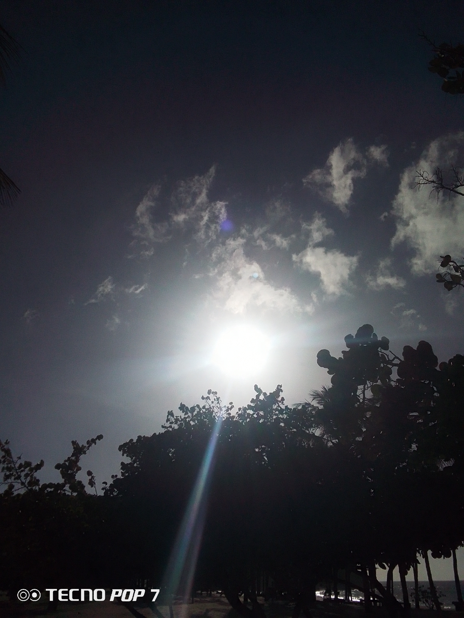 The photograph depicts a bright sun partially obscured by clouds in the sky, with the silhouette of trees and foliage in the foreground. A prominent sunbeam extends downwards. In the lower left corner, the watermark "TECNO POP 7" is visible. Based on the prompts, it is located in the city of Pedro González, Venezuela. The foreground vegetation appears dense, obscuring the ground. In the distance, the ocean can be faintly seen.
