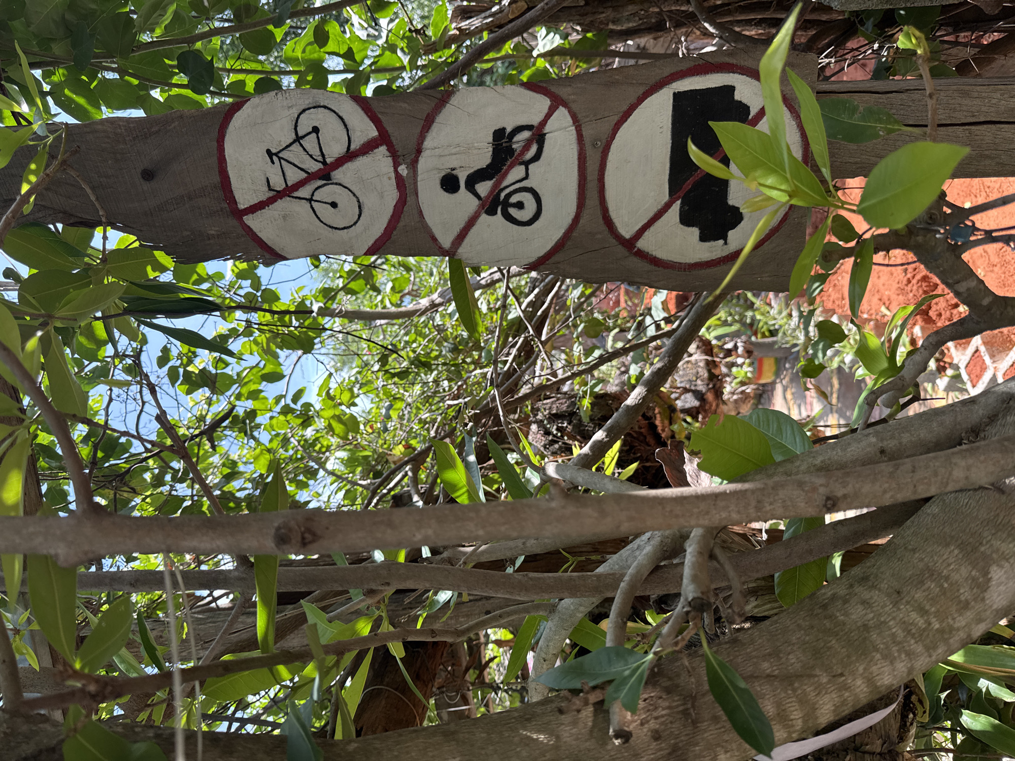 The image shows a wooden post with three circular prohibition signs painted on it, mounted vertically. The signs are white circles with red borders and a red diagonal line across them. The top sign depicts a bicycle, indicating no bicycles are allowed. The middle sign shows a person riding a motorcycle, indicating no motorcycles are permitted. The bottom sign features a truck, signifying that trucks are prohibited. The post is situated outdoors, amidst lush green foliage and trees, suggesting a natural or park-like setting. Sunlight filters through the leaves, creating dappled light. The background reveals more vegetation and what appears to be a red brick structure or pathway. The overall scene is one of a natural environment with rules governing vehicle access. The location is in Mũi Né, Vietnam.