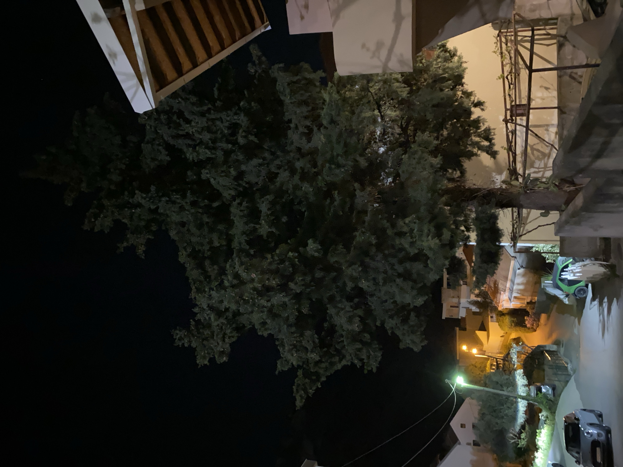 The image depicts a nighttime scene in Budva, Montenegro. A large tree dominates the view, with buildings and streetlights visible in the background. A vehicle is parked on the street. A structure resembling a pergola can be seen near the buildings. The scene suggests a residential area in the evening.