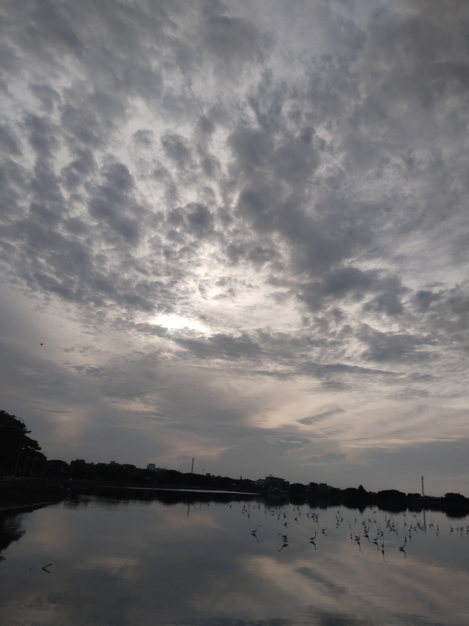 A wide-angle, eye-level shot captures a reflective body of water with a dark shoreline of trees and buildings under a cloudy sky. The sky is filled with textured, gray clouds, with a bright, diffused sun peeking through near the center. The water's surface mirrors the sky and the distant shoreline. Scattered across the water are numerous birds, primarily herons, standing and wading. The scene is likely in Lhokseumawe, Indonesia, potentially an area with wetlands or a coastal lagoon.
