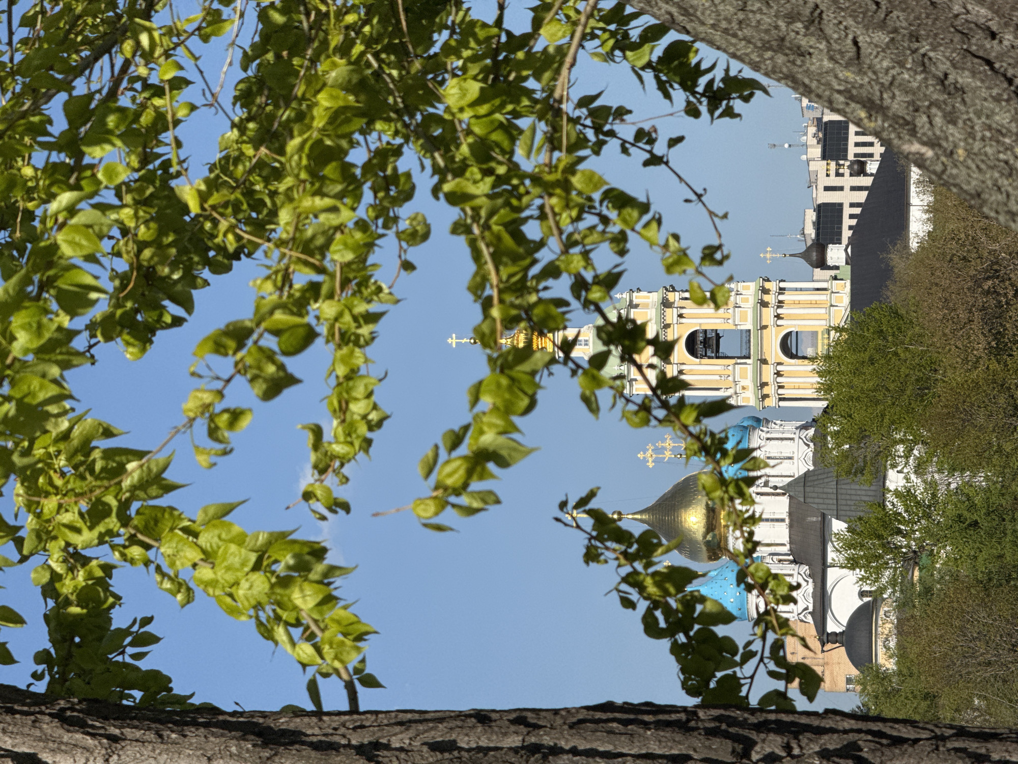 Captured from a low angle, the image frames the architectural beauty of the Trinity Lavra of St. Sergius monastery in Sergiev Posad, Moscow Oblast, Russia, through the natural perspective of a tree. In the foreground, thick tree branches, both with green leaves and a larger branch in the bottom of the shot, create a natural frame. The monastery, with its gold and blue domes topped with crosses, rises in the middle ground. Buildings, some modern, are visible above the treetops in the background. The sky is clear and blue.