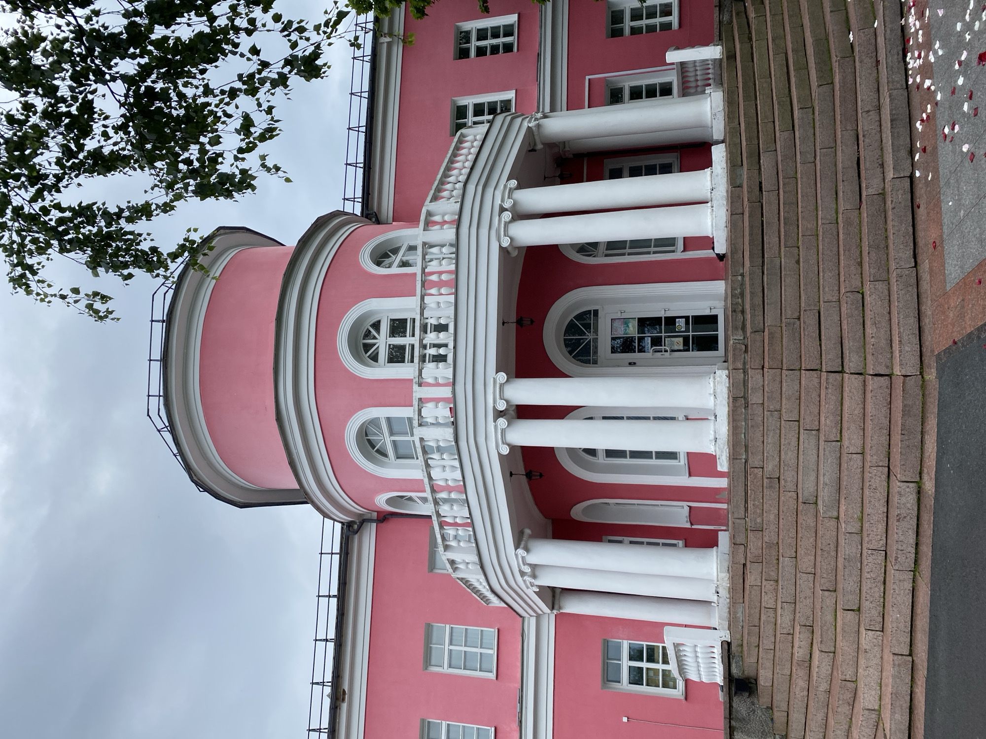 This is a low-angle, medium shot of a bright pink building with white columns and a curved balcony. The building appears to be a historical landmark, possibly a museum or a public institution, and is located in Petrozavodsk, Russia. The facade features several white-framed windows and arched doorways, with a prominent semicircular tower at the center of the building. A wide set of stone stairs leads up to the main entrance, and a scattering of pink and white flower petals are visible on the ground at the foot of the stairs, suggesting a recent event like a wedding or celebration. The sky is overcast and there are some green leaves and branches from a tree in the upper right corner of the image. There are no people visible in the frame.
