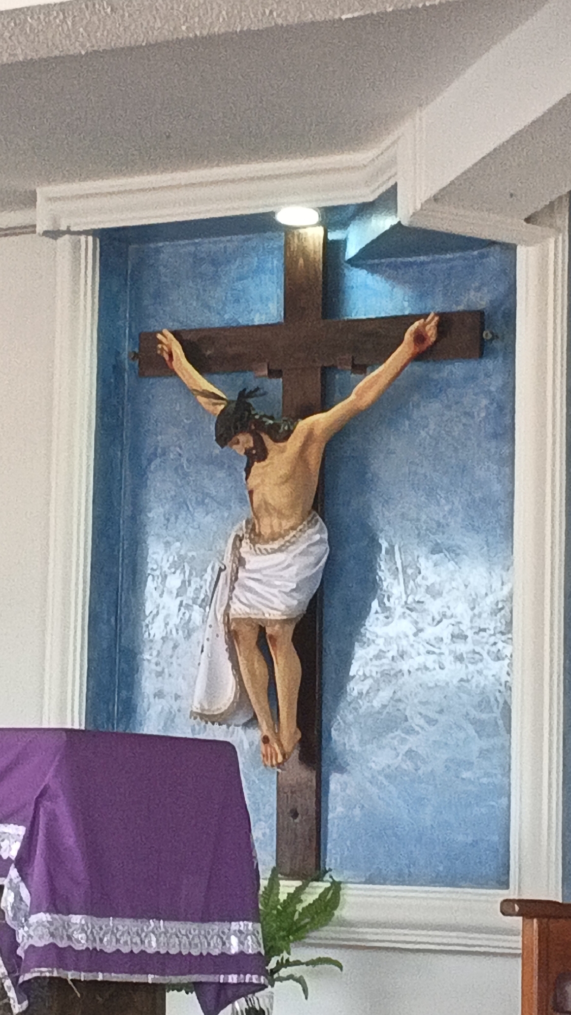 An image from Juan Griego, Venezuela, depicts a crucifix centrally positioned within a recessed wall alcove inside a religious structure. The sculpted figure of Jesus Christ, with a light complexion, dark hair, beard, and a dark, spiky head covering (consistent with a crown of thorns), is affixed to a dark wooden cross. Nail marks are visible on the hands and feet. The figure wears a white loincloth. This central display is set against a textured light blue background, framed by white fluted pilasters and decorative molding. A singular downlight positioned above illuminates the crucifix. In the lower left, an altar or table is draped with a purple cloth, which features a white and silver lace or sequined trim along its visible edge. A green, fern-like plant is situated on the lower right, beneath the crucifix. A segment of a light-colored wooden furniture piece is partially visible on the far right. The upper portion of the image shows a textured, light-colored ceiling with white crown molding.