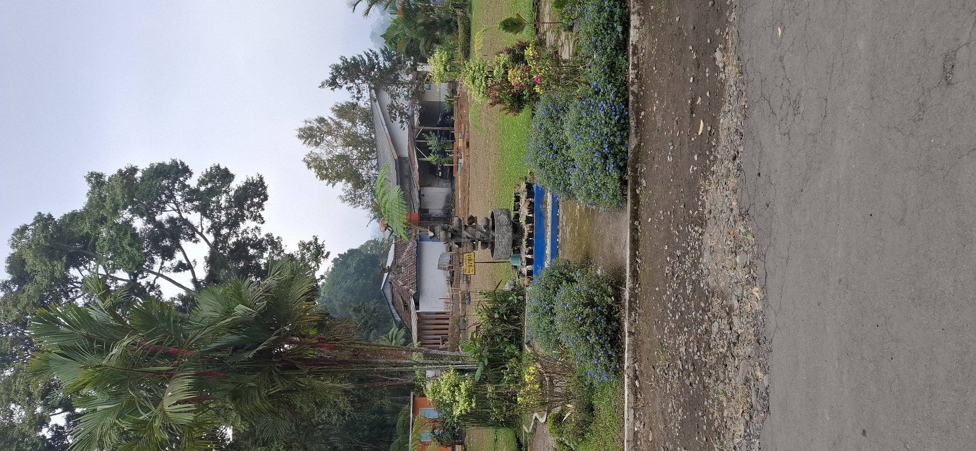 In Puntukrejo, Indonesia, a scene unfolds in front of a modest dwelling complex, seemingly a rural or semi-rural setting. The image is dominated by lush greenery, with a towering palm tree on the left and a mature tree with dense foliage providing a backdrop. In the mid-ground, a fountain with a tiered stone structure stands centrally, its base painted a vibrant blue. Surrounding the fountain are beds of small blue flowers, adding a touch of color to the landscape. Beyond the garden, the dwelling complex features several buildings with tiled roofs, some with open carports, suggesting a residential or possibly a small business establishment. A car is visible under one of the carports. A yellow sign with black lettering, reading "OUTBOUND," is placed near the fountain, hinting at potential recreational activities. The ground in the foreground is a rough, unpaved surface with scattered stones and patches of dry grass, transitioning into a paved road at the very bottom of the frame. The sky is overcast, contributing to a soft, diffused light. The overall impression is one of a quiet, natural environment with the presence of human habitation.