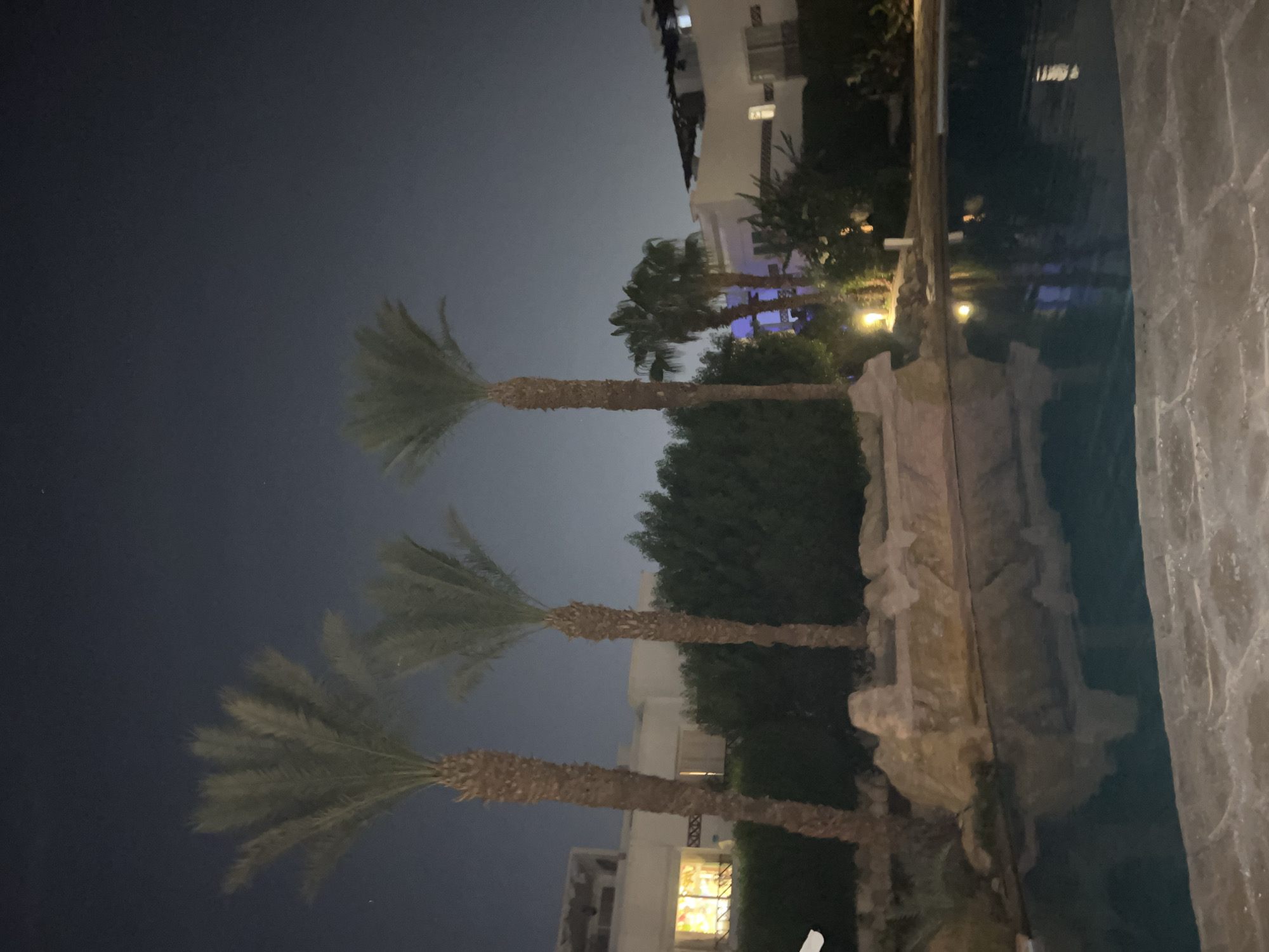 The image captures a nighttime scene at a resort in Sharm El Sheikh, Egypt, featuring a swimming pool in the foreground. Three tall palm trees stand prominently behind the pool, their fronds silhouetted against a dark, clear night sky. To the left of the palm trees, a building with illuminated windows suggests indoor activity. Behind the trees and the building, a dense hedge forms a dark green backdrop. The pool's surface reflects the ambient light and the surrounding environment. The poolside is paved with stone slabs, and a decorative rock formation is visible along the edge of the pool. The overall atmosphere is tranquil, indicative of a resort setting after dark.