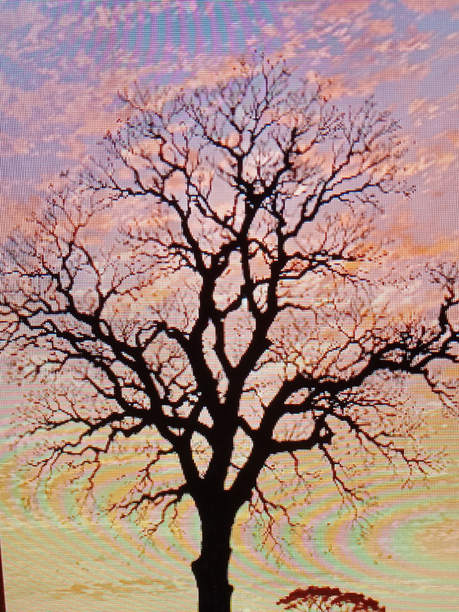 A dark silhouette of a tree dominates the frame. The tree is bare of leaves, its intricate network of branches reaching towards the sky. The background is a blend of colors, transitioning from a warm, yellowish hue at the bottom to pinks and light blues towards the top, possibly indicating a sunrise or sunset. The scene appears pixelated, and it looks like it might be on a computer screen or some kind of display. Another smaller tree or bush can be seen in the bottom right corner. The city is unknown.