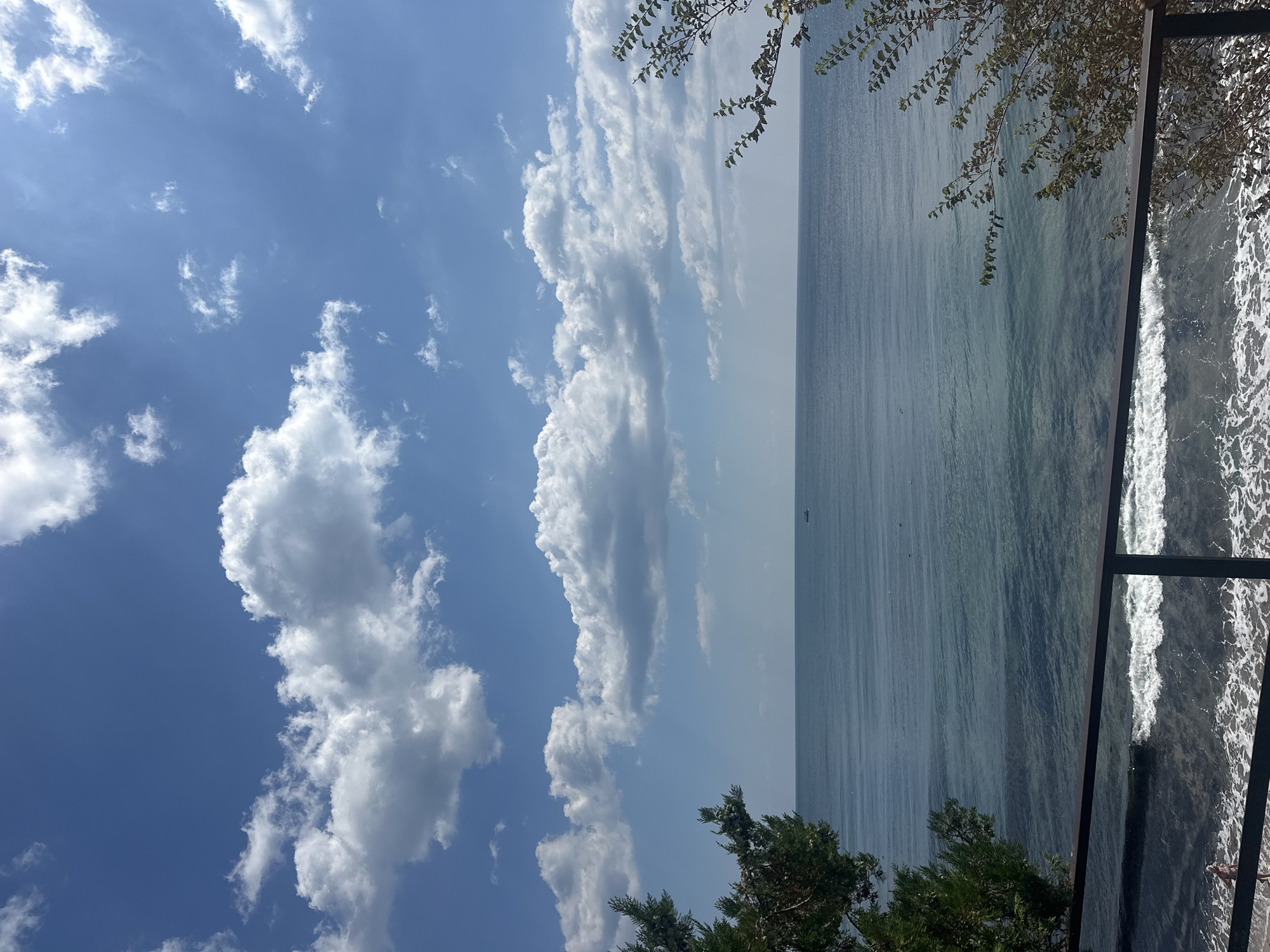 The image captures a serene seascape under a bright blue sky dotted with fluffy white clouds. The calm, blue ocean stretches to the horizon, where a solitary boat is visible as a tiny speck. In the foreground, a black metal railing runs horizontally across the lower part of the frame. To the left, the dark green branches of a pine tree frame the view, while to the right, lighter green foliage from another tree drapes into the scene. The shoreline below the railing shows gentle waves breaking on a dark-colored beach, with a person in a pink swimsuit visible on the sand. The overall atmosphere is tranquil and summery.