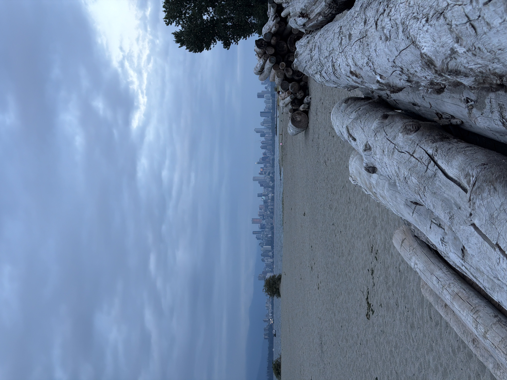 The image depicts a serene beach scene in Vancouver, Canada, likely at dusk, with a sprawling cityscape in the distance. In the foreground, weathered, light-colored logs are piled on the sandy shore, their textures detailed and prominent. The beach stretches out, meeting a calm body of water. Beyond the water, the Vancouver skyline is visible, a dense collection of buildings with varied heights. The sky above is overcast, with muted blues and grays, contributing to a tranquil atmosphere. A lone tree stands on the right side of the frame, its dark foliage contrasting with the lighter tones of the logs and beach. The overall impression is one of natural beauty meeting urban development under a diffused, cool light.