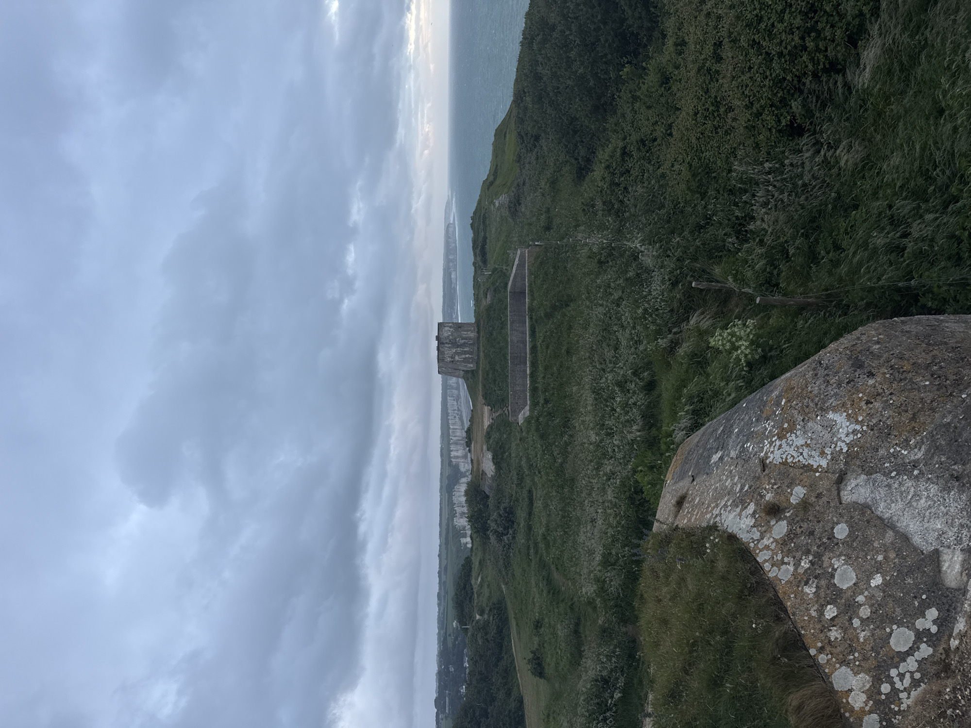 This image captures a rugged coastal landscape under an overcast sky, viewed from an elevated vantage point.
In the foreground, to the lower right, a large, weathered grey rock, textured with white and green lichen, partially frames the scene. The midground is dominated by a verdant, wild hillside or cliff face, densely covered in various shades of green foliage, bushes, and tall grasses. A subtle, overgrown fence or barrier, consisting of posts and wire, can be seen traversing down the slope.
Further along the cliff edge, towards the center-left of the image, a concrete structure, likely an old bunker or military fortification, stands prominently. Its robust, grey form is partially integrated into the natural landscape. Beyond this structure, the terrain slopes gently, revealing glimpses of cultivated land or pathways leading towards a distant settlement.
In the background, the grey-blue expanse of the sea stretches to the horizon, where it meets a heavily clouded sky. The water appears calm, with subtle reflections suggesting diffused light. Along the distant coastline, iconic white cliffs are distinctly visible, characteristic of the Alabaster Coast.
The time of day is ambiguous due to the pervasive grey, overcast clouds, which soften the light and create a diffused illumination across the entire landscape. No direct sunlight is apparent. There are no people visible, and no specific activities are taking place. The scene evokes a sense of quiet natural beauty with a historical presence, typical of the Fécamp area in France. No text is visible within the image.