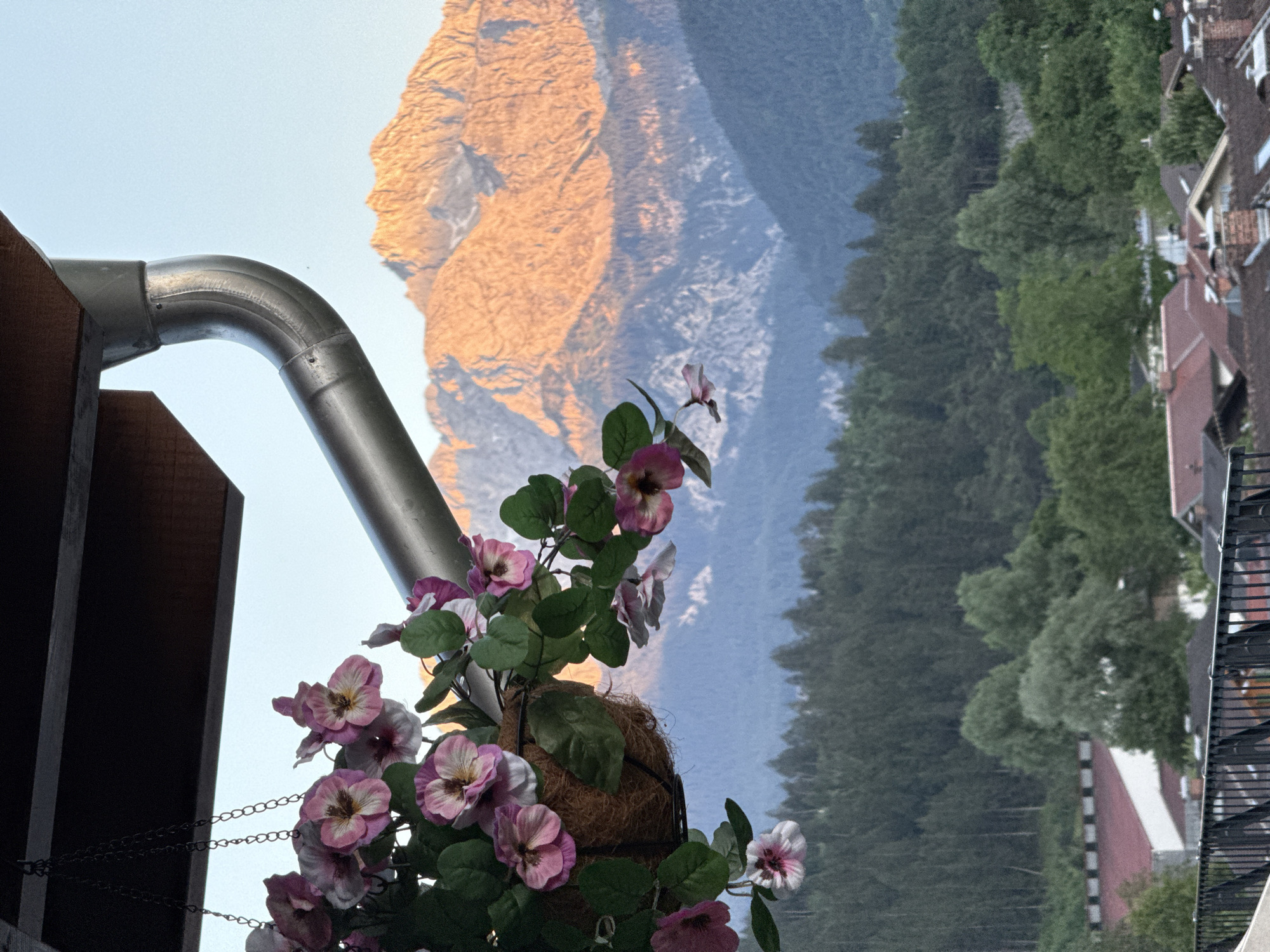 The image captures a view from a balcony in Garmisch-Partenkirchen, Germany, overlooking a mountain range bathed in the warm glow of sunset. In the foreground, a hanging basket filled with pink and white pansies is suspended from a dark wooden overhang, partially obscuring a silver gutter pipe. Beyond the flowers, the majestic Alps rise, their peaks illuminated in hues of orange and gold. A dense forest of evergreen trees blankets the lower slopes, leading down to a collection of buildings with red-tiled roofs, indicative of the town's architecture. The sky is a clear, pale blue, transitioning to a softer hue near the horizon. No people are visible in the frame. The scene evokes a serene and picturesque mountain town setting at dusk.