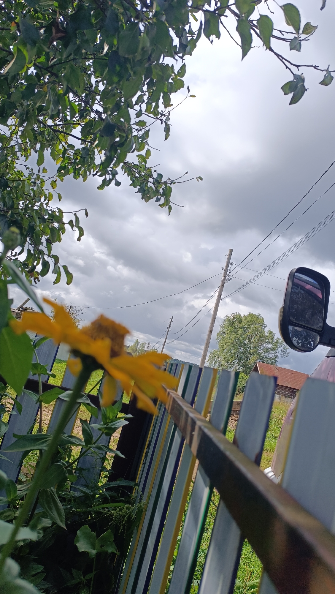 The image captures an outdoor scene with a focus on a yellow flower in the foreground, partially obscured by a metallic railing and a fence made of multicolored vertical planks. The flower is out of focus, with its petals extending towards the right side of the frame. Behind the flower and fence, a reflection of the sky and trees can be seen in a side-view mirror, likely attached to a vehicle. Overhead, branches with green leaves are visible against a cloudy sky. Power lines and utility poles stretch across the background, suggesting an inhabited area. In the distance, a building with a red roof and a green, grassy area are also discernible. The overall impression is one of a rural or suburban environment, possibly a yard or garden, under an overcast sky. There are no people or animals visible in the image. The exact location in Karsha, Russia cannot be determined from the visual information provided.