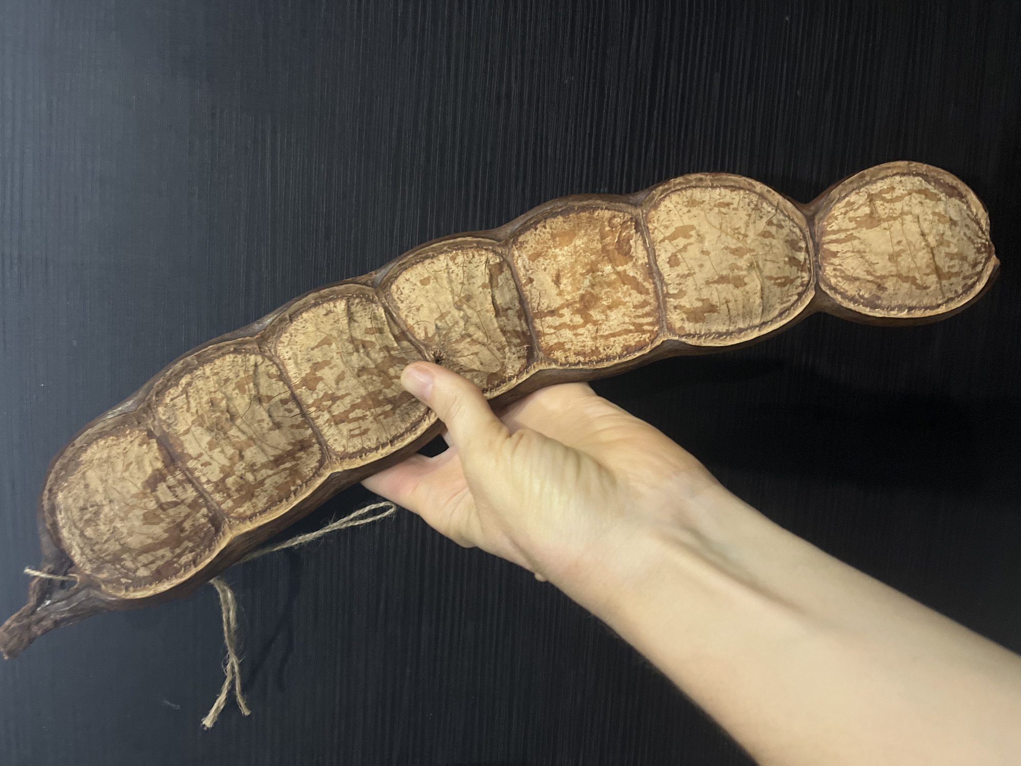 A human hand holds a large, dried, segmented seed pod against a dark, textured background, possibly a wall or door. The pod is brown and tan, with visible ridges and patterns on each segment, and a string attached at the tapered end. The person's arm is visible, extending from the bottom right corner to where the hand holds the pod, and the background appears to be a dark, possibly black, material with vertical grooves or a wood grain texture. There is no indication of the location being Krasnodar, Russia.