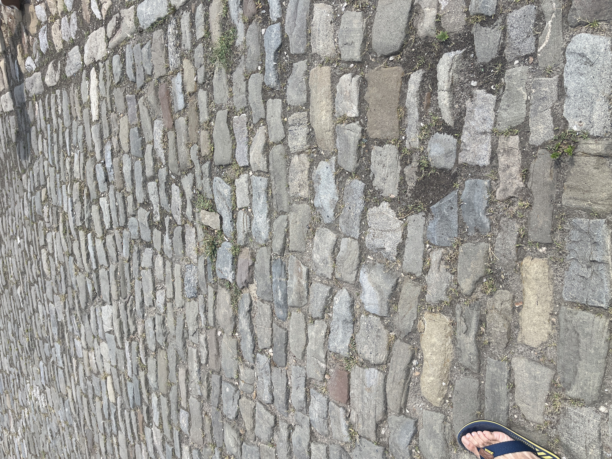 The image depicts a close-up view of a cobblestone pavement. The stones are irregular in shape and size, predominantly gray with some variations in color, including lighter grays and hints of brown. Small tufts of grass and dirt are visible in the gaps between the stones. In the lower left corner of the image, a person's left foot wearing a dark blue flip-flop with a yellow accent is visible. The flip-flop has a thong strap that goes between the toes and is secured by a dark brown accent piece. The foot appears to be pressing down on the cobblestones. The scene is outdoors, and the lighting suggests a sunny day, casting subtle shadows. There is no specific indication of the city of Novocherkassk, Russia within the image itself; it is a generic depiction of a cobblestone street.