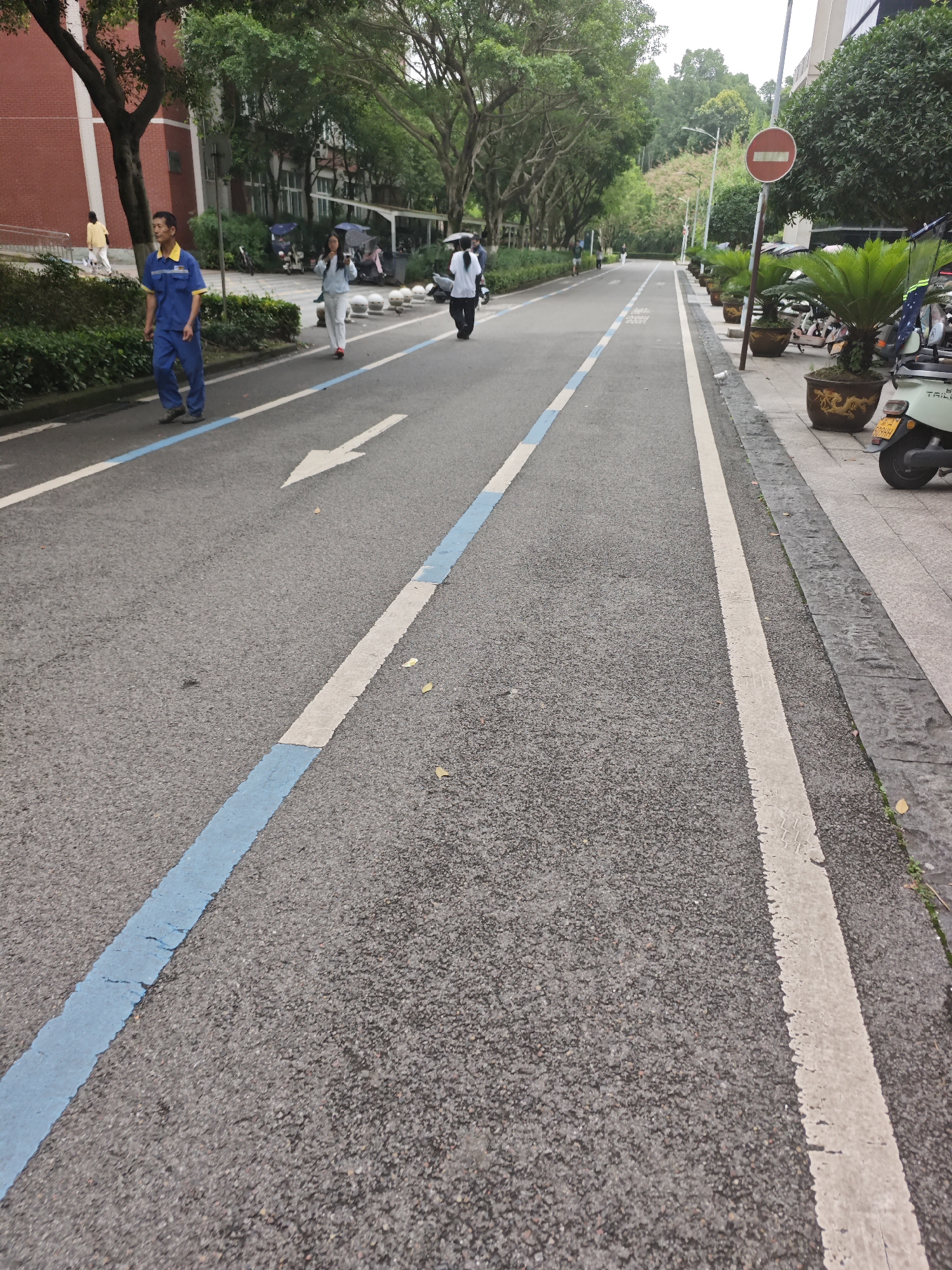 The image captures a paved road with distinct lane markings, suggesting it is a designated pathway for vehicles or a mixed-use path. A prominent blue line borders the left side of the road, indicating a lane or boundary. A white arrow is painted on the road, pointing left, signifying a direction of travel.
In the foreground, on the left side of the road, a man wearing a blue uniform walks away from the camera. To his right, further down the road, two individuals are walking towards the camera, one holding an umbrella. On the far right, a light green electric scooter is parked on a sidewalk alongside potted plants. The sidewalk is bordered by a concrete curb and stone paving.
The environment appears to be an urban or suburban setting with lush green trees lining the road, creating a canopy overhead. In the background, a brick building with windows is visible on the left, and a hillside with trees and vegetation rises on the right. A red and white circular sign, likely a traffic sign, is mounted on a pole to the right of the road. The overall scene suggests a pedestrian-friendly area within a well-maintained city environment. The location is identified as the Chongqing High-tech Zone, China.