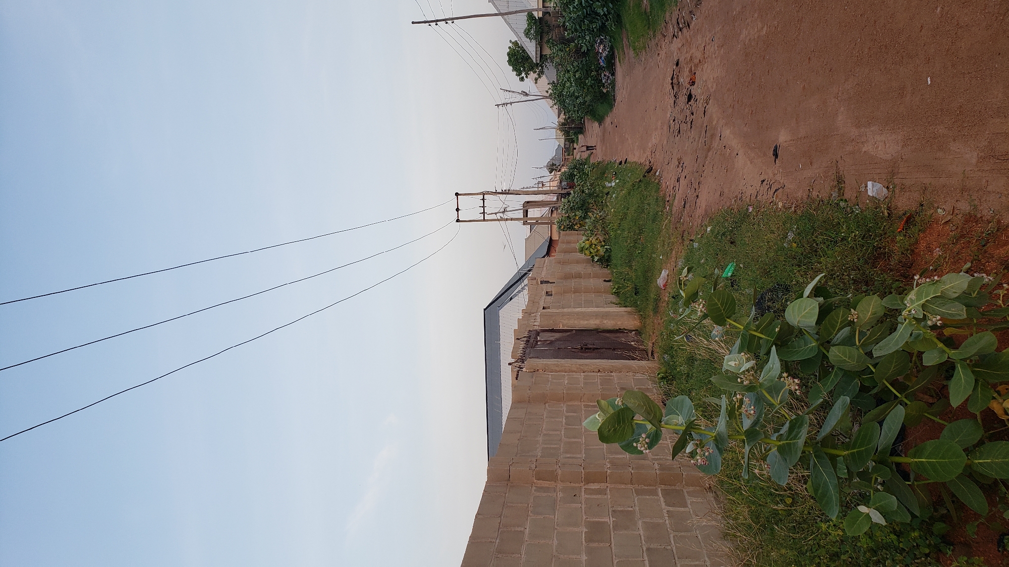 The image depicts a dirt road in a residential area of Jalingo, Nigeria, likely at dusk due to the soft lighting. On the left, a brick wall runs along the side of the road, with a metal gate partially visible. Adjacent to the wall is a patch of overgrown grass and a large plant with broad leaves and small white flowers. The road itself is unpaved and shows signs of wear, with some debris scattered along its edges. In the distance, several houses with corrugated metal roofs line the street, and utility poles with overhead power lines are visible. A lone individual is walking away from the camera down the road. The sky is a pale blue, indicating either early morning or late evening. The overall impression is of a somewhat unkempt but functional urban environment.