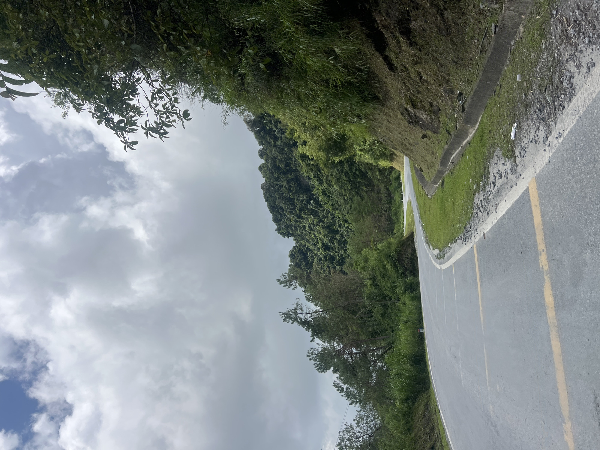 The image depicts a winding asphalt road cutting through a lush, mountainous landscape under a cloudy sky. The road is marked with yellow lines. On the right side of the road, a steep, vegetated embankment slopes upwards, featuring a concrete drainage channel. The left side of the road offers a view of dense green forests covering the hills and mountains in the distance. Several pine trees are visible on the left slope. The environment is predominantly natural and rural. The location is identified as Quản Bạ Commune, Vietnam.