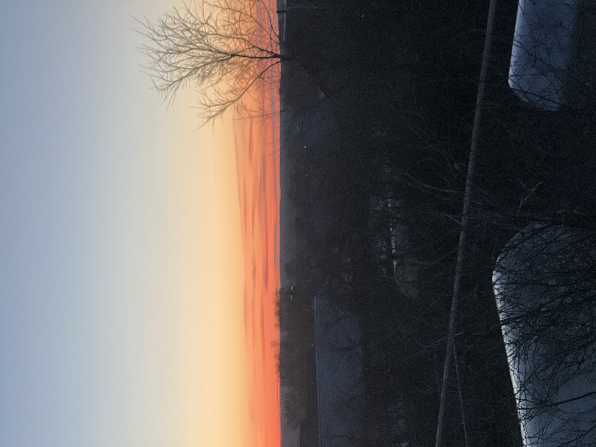 The image depicts a sunrise or sunset over Votkinsk, Russia. The sky transitions from a light blue on the left to orange and red hues toward the center. A dark silhouette of trees and buildings occupies the right side of the frame. Bare tree branches are visible against the sky, adding texture to the scene. There's a tall, possibly metallic object in the lower right corner partially obscured by branches.
