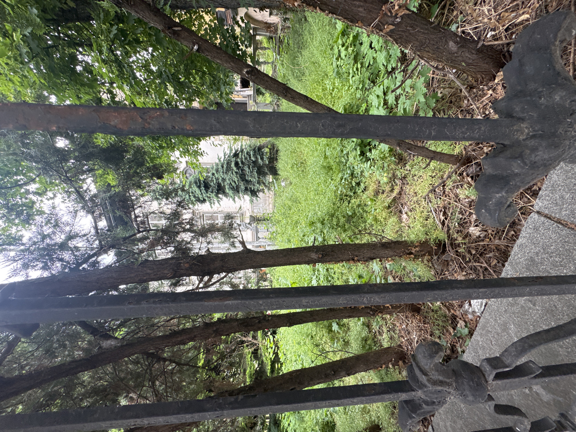 The image shows a view through a black wrought iron fence into an overgrown area with trees and vegetation. A building is partially visible in the background. The location is likely a cemetery in Sofia, Bulgaria, based on the architectural style of the building and the presence of a wrought iron fence, common in Bulgarian cemeteries. There are no people visible. The scene is overgrown and appears neglected.