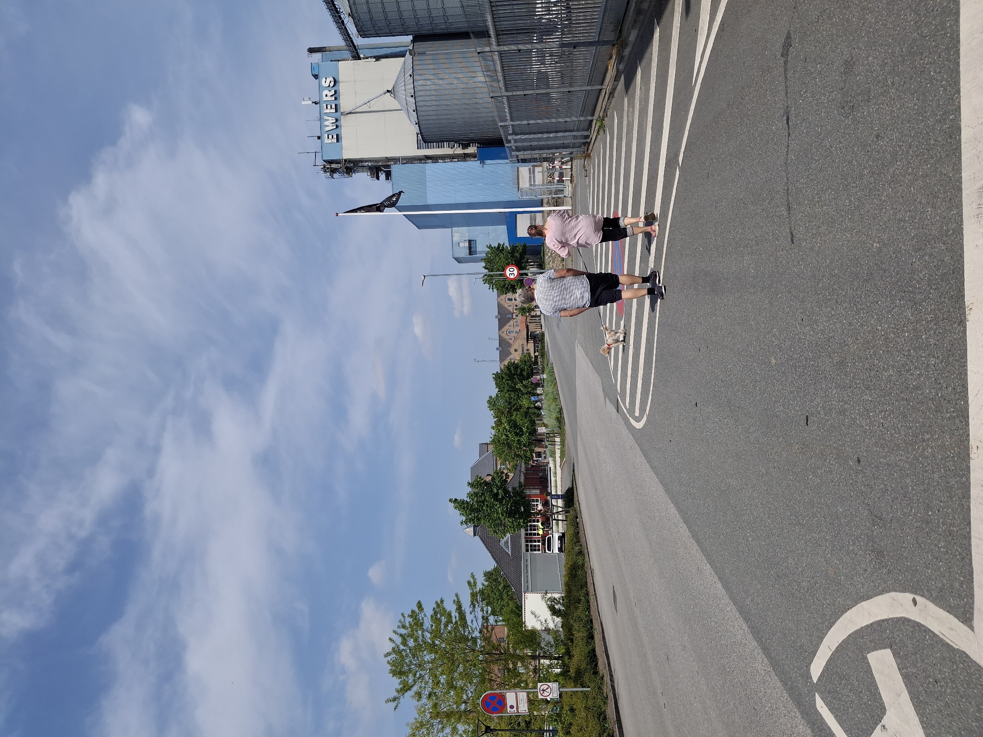 Two people are standing on a crosswalk on a street in Aabenraa, Denmark. One person wears a striped shirt and black shorts, and the other wears a pink shirt and dark shorts. A small dog is on a leash being held by the person in the striped shirt. A Ewers building is in the background. Trees, houses, and road signs are visible. The sky is blue with clouds.