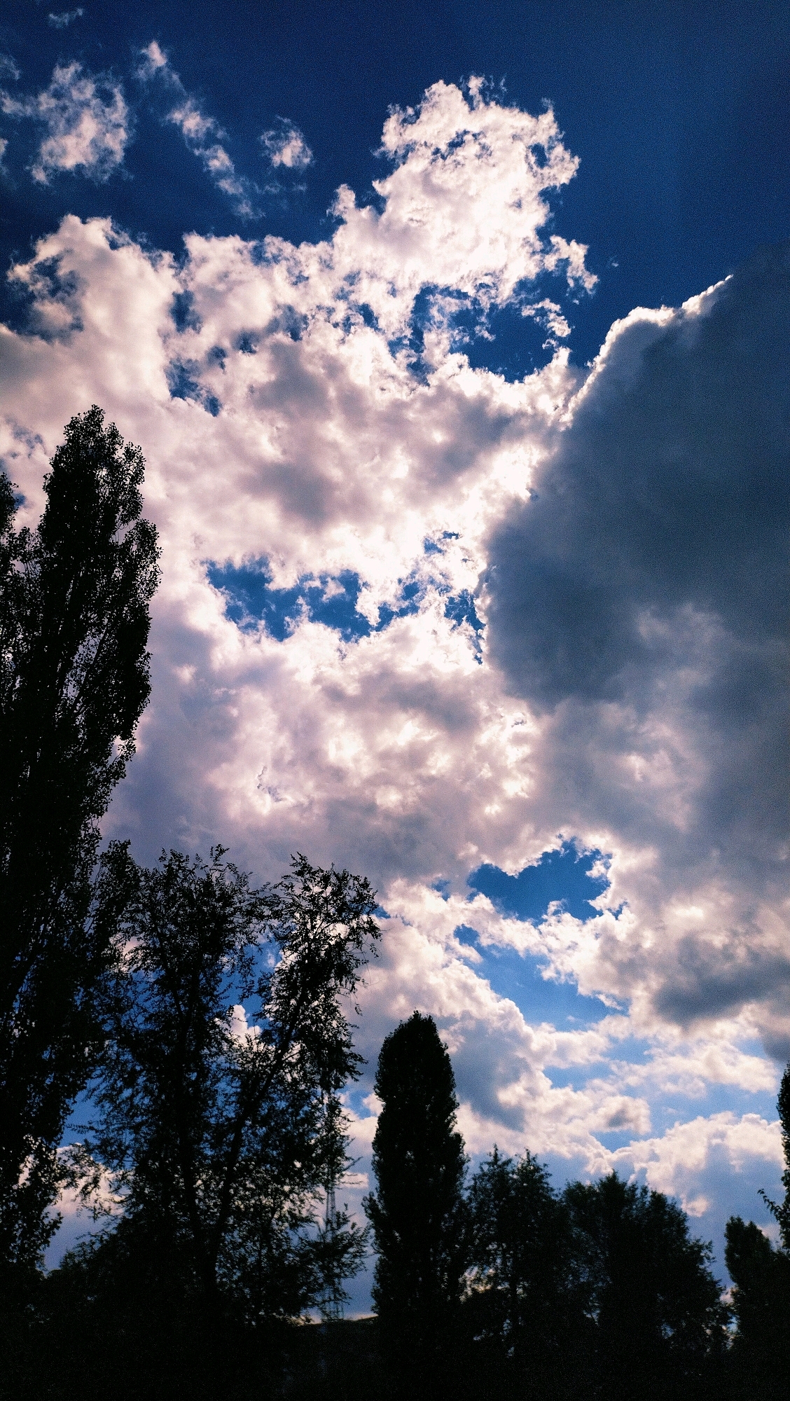 The image depicts a view of the sky in Horishni Plavni, Ukraine, characterized by a dramatic interplay of light and shadow. Silhouetted trees in the foreground frame a turbulent sky filled with a mixture of bright, puffy white clouds and dark, ominous storm clouds. Patches of deep blue sky are visible between the clouds, suggesting a dynamic weather system. The overall impression is one of a powerful and active sky, potentially before or during a storm.