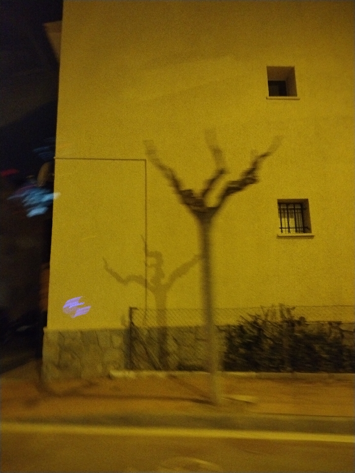 An out-of-focus image shows a yellow building at night. Two square windows are visible, one with a barred grate. A tree trunk stands in front of the building, casting a blurry shadow of its branches on the wall. Another, more defined shadow resembling a person with outstretched arms is also on the wall. A low fence with bushes runs along the base of the building. The road is visible in the foreground. Motion blur suggests the photo was taken from a moving vehicle.
