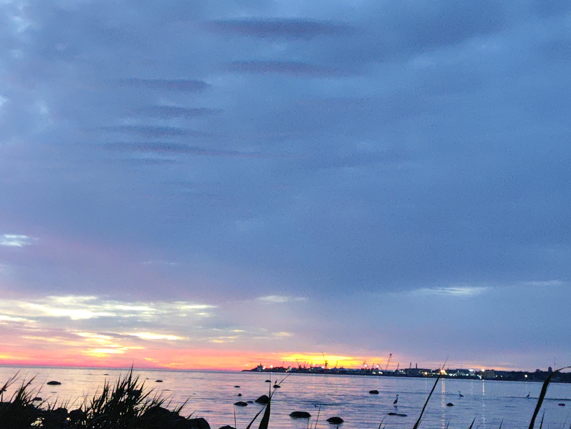 This image depicts a twilight scene over the Baltic Sea, likely from the coast of Tallinn, Estonia. The sky is a gradient of blues, grays, and soft oranges and pinks near the horizon, indicative of sunset or sunrise. Wispy clouds are present throughout the sky. The sea is calm with visible ripples and reflections. In the foreground, silhouetted grasses and rocks emerge from the water's edge.
In the distance, a prominent harbor or industrial area is visible along the coastline, characterized by cranes and building structures. The lights of the city are illuminated, suggesting it is dusk. Several birds, possibly herons, are wading in the shallow water in the middle ground. The overall impression is one of a serene, coastal landscape at the edge of an urban center.