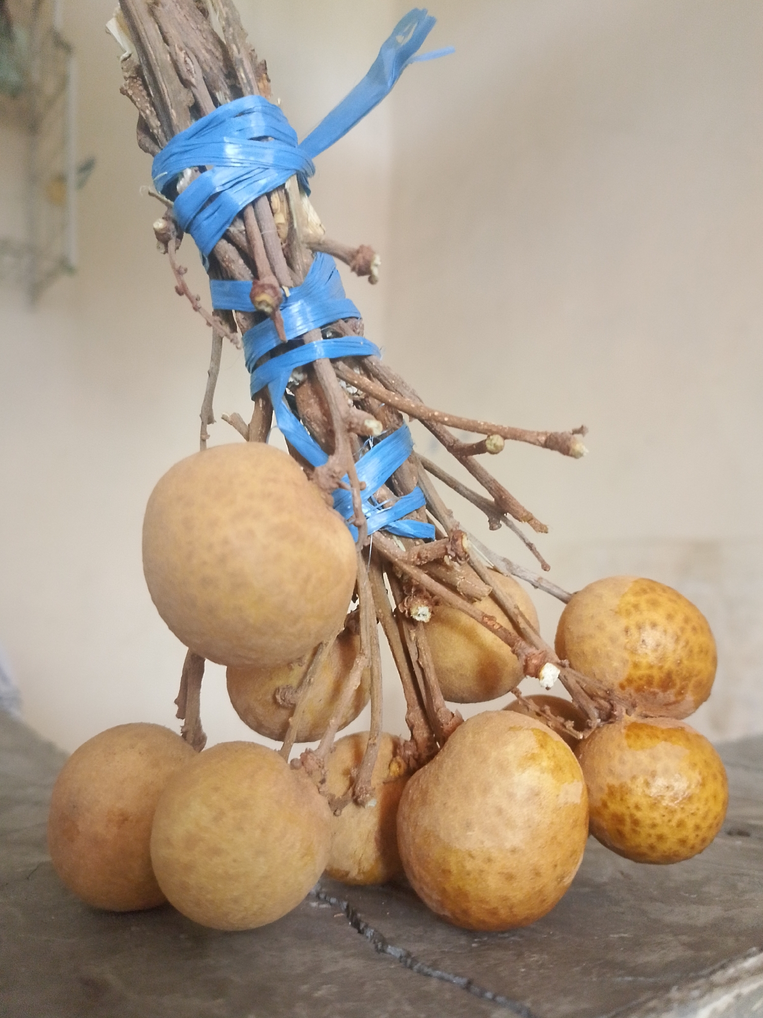 A bunch of longan fruits, still attached to their branches, are tied together with blue plastic strapping. The fruit is light brown with a slightly textured skin. The branches are dry and woody. The bunch hangs against a plain, light-colored wall. The bottom of the image shows a textured, dark surface, likely a table or wooden surface. The image appears to be taken outdoors, given the natural light and the subject matter. The scene is likely located in Mukapayung, Indonesia, suggesting a rural or semi-rural setting where such fruits are grown or sold. There are no people or animals present in the image.