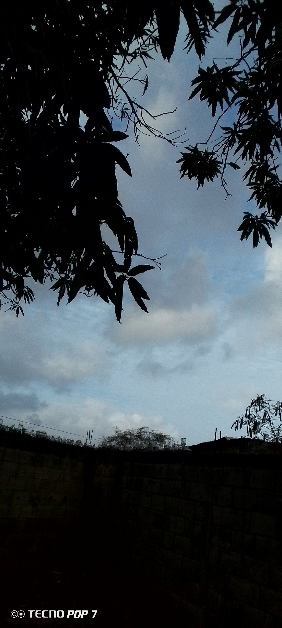 The image shows a view of a cloudy sky framed by tree branches in silhouette. A dark wall or structure is visible at the bottom of the frame, with some vegetation and building elements appearing above it. The camera brand is TECNO POP 7. The location is presumed to be Altagracia, Venezuela.