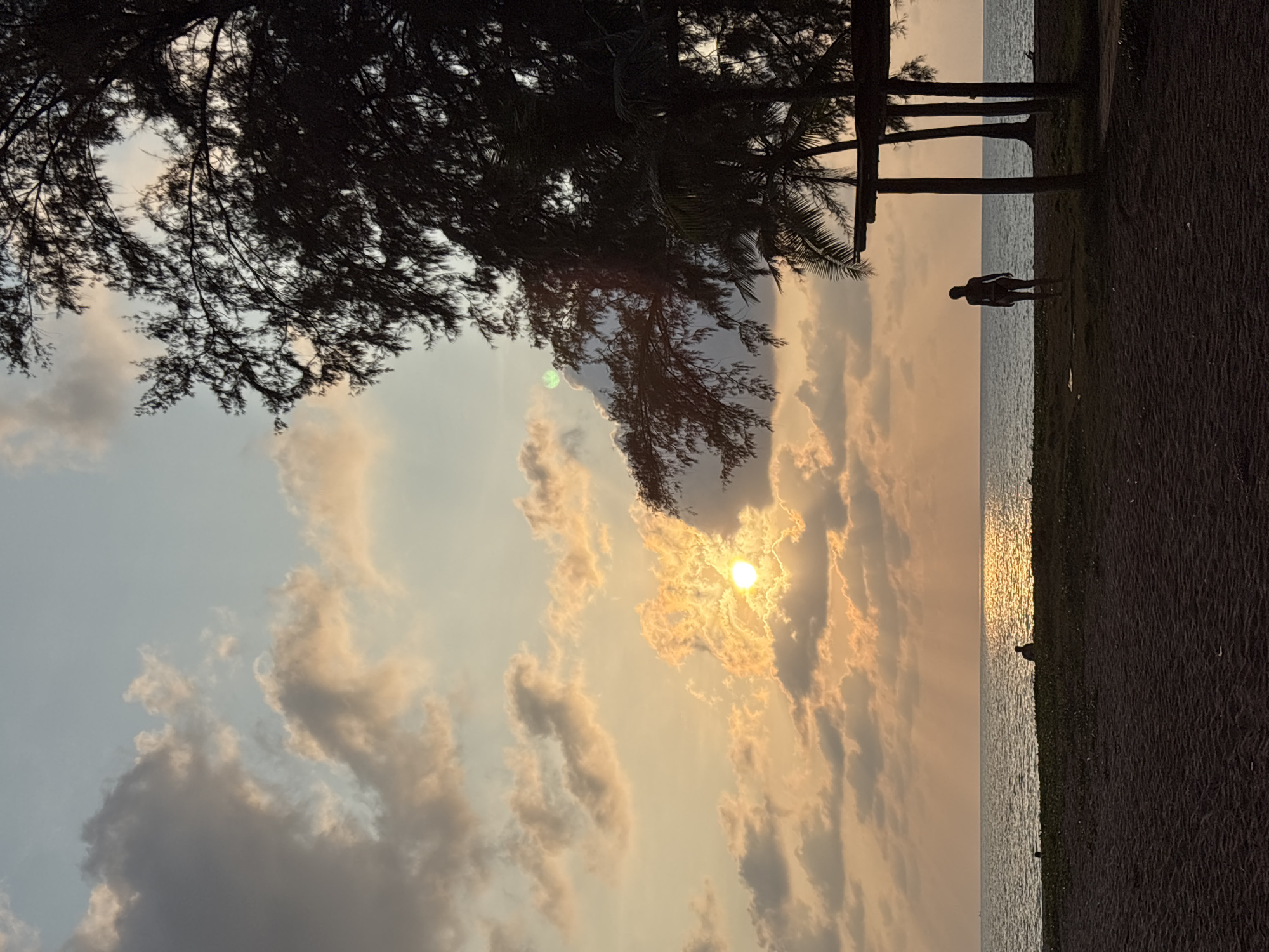 The image, originally captured in portrait orientation but depicting a horizontal landscape scene, showcases a serene sunset over a tropical coastline, likely in Choeng Thale, Thailand. The dominant feature is the warm, golden sun, shining brightly through scattered clouds in the upper-middle of the frame. The sky transitions from a pale blue-grey on the left to vibrant oranges and yellows around the sun, with soft, illuminated clouds drifting across.
In the middle-right section, the calm, vast expanse of the ocean reflects the sun's light, creating a shimmering path across the water's surface. A dark, earthy strip of ground, presumably a beach or coastline, occupies the far right and bottom-right, running parallel to the water.
Silhouetted against the bright sky and sea, a lone figure stands on this dark ground, appearing contemplative as they face towards the ocean and the setting sun. To the left and top of the frame, dark, dense foliage of numerous trees, resembling casuarina or pine, casts deep shadows, framing the celestial display. Several dark tree trunks are also visible on the right, providing vertical accents.
The scene conveys a sense of peaceful tranquility, typical of a late afternoon or early evening on a tropical beach. There is no visible text in the image.
