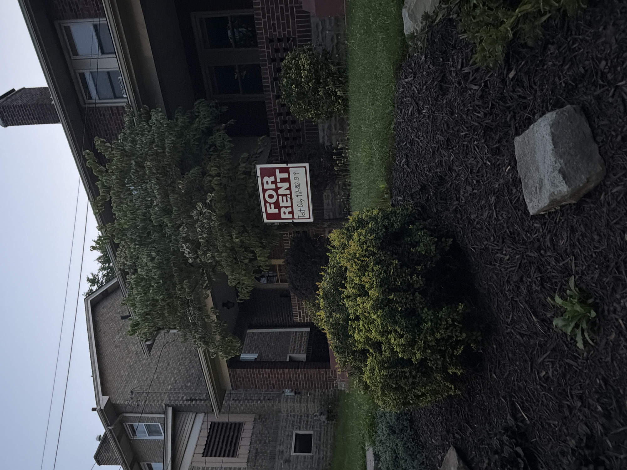 A low-angle, dusk photograph captures the exterior of a multi-story brick house in Pittsburgh, Pennsylvania, with a "For Rent" sign prominently displayed in the yard. The house, with its dark brickwork and multiple windows, appears to be an older structure. A large, leafy tree is positioned in front of the house, partially obscuring the facade. The "For Rent" sign, a red rectangle with white lettering, states "FOR RENT" in large letters and "Text Only 412-812-1319" in smaller print below. The yard in front of the house is landscaped with dark mulch, dense green bushes, and a few scattered rocks. The sky is a pale, overcast blue, indicating either early morning or late evening. Power lines are visible crisscrossing the sky above the house. The overall impression is one of a residential property being offered for rent.