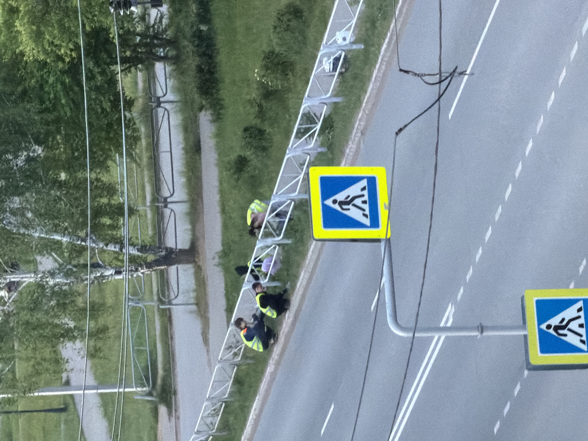 This image presents an elevated, rotated view (90 degrees clockwise) of a roadside scene in Chaikovsky, Russia. The perspective looks down onto a paved road and an adjacent green area separated by metal barriers.
The road features white dashed lane markings and a solid white line along its edge. Overhead wires, possibly for trams or power, traverse above the road. Along the side of the road, two pedestrian crossing signs are visible, each displaying a universal white pedestrian icon within a blue square, bordered by yellow.
Behind the metal barriers, a grassy area stretches, backed by a paved path and several trees, some with light bark suggesting birches. At least three individuals are present near the barriers, all wearing high-visibility yellow-green vests over dark clothing. Two of these individuals are closer to the foreground: one is bending down or kneeling, seemingly engaged in work or inspection at ground level next to the barrier, while the other stands nearby, also focused on the area. A third person in similar attire is visible further along the barrier.
The scene appears to be set during daytime under clear weather conditions, with natural light illuminating the area. There is no discernible text visible on the signs, only symbols. The activity suggests some form of maintenance or roadside work.