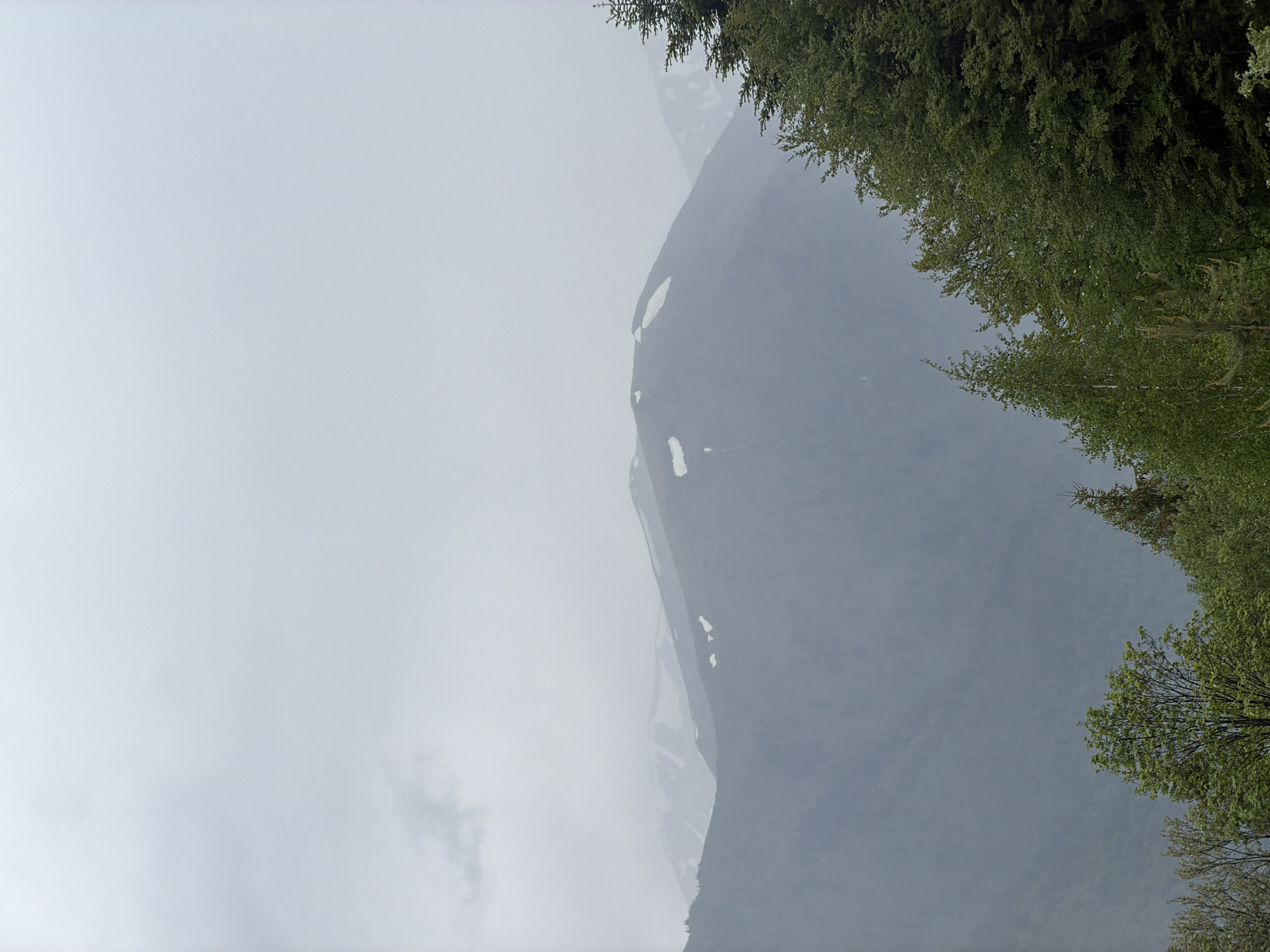 The image shows a mountain landscape, partially obscured by fog. The mountain has patches of snow on its side. Green trees line the upper-right corner of the frame. The sky is overcast. The location is presumed to be near the Rila Monastery in Bulgaria.