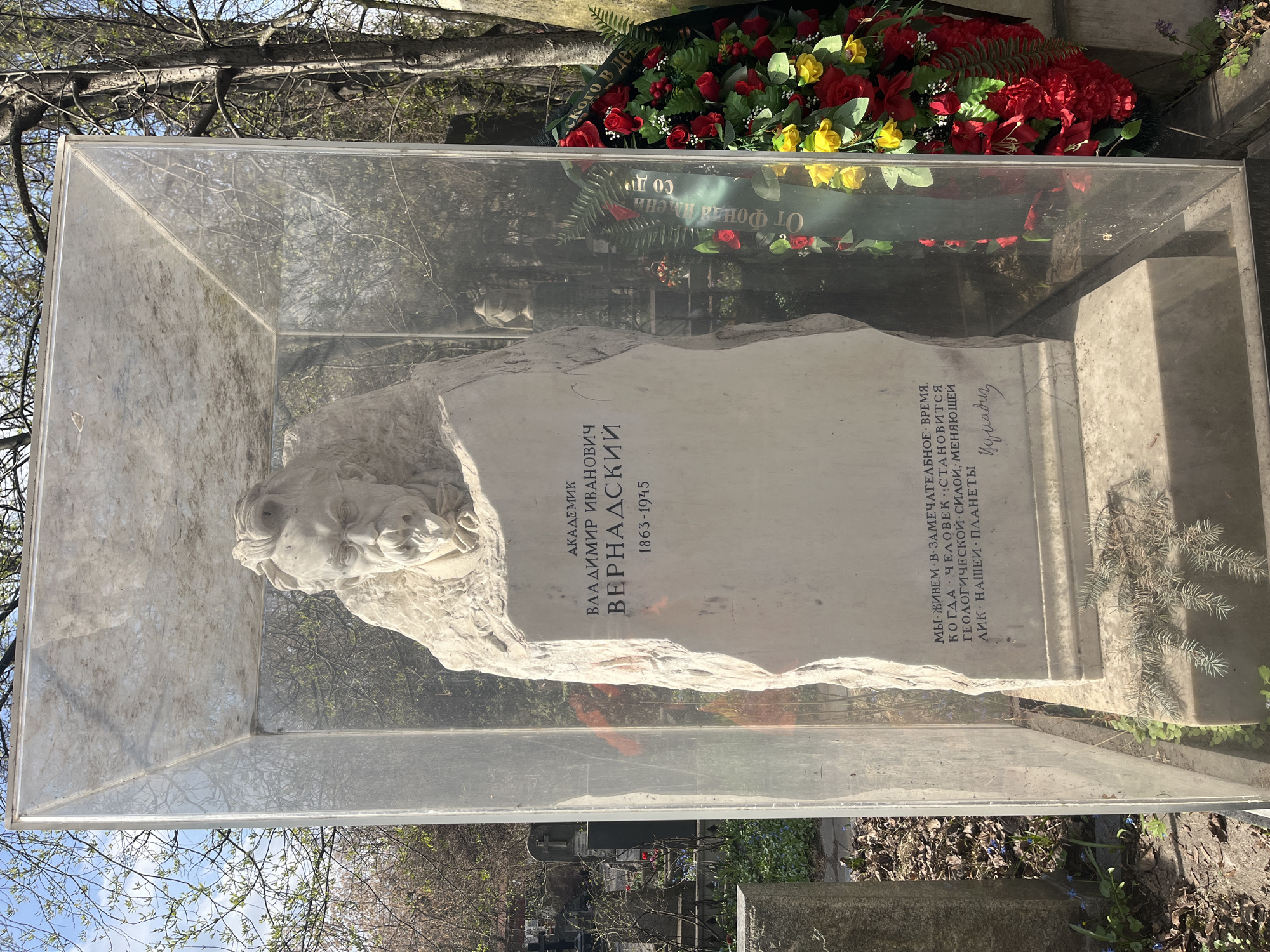 The image shows the tomb of Vladimir Ivanovich Vernadsky (1863-1945) at the Novodevichy Cemetery in Moscow, Russia. The grave is marked by a large, irregularly shaped white stone with a bas-relief of Vernadsky's head. The stone is enclosed in a transparent, cube-shaped protective case. Text in Russian is inscribed on the stone, including Vernadsky's name, dates, and a quote about humanity becoming a geological force. A wreath of red and yellow flowers with a green ribbon sits atop the case. The tomb is surrounded by vegetation and other graves in a cemetery setting.