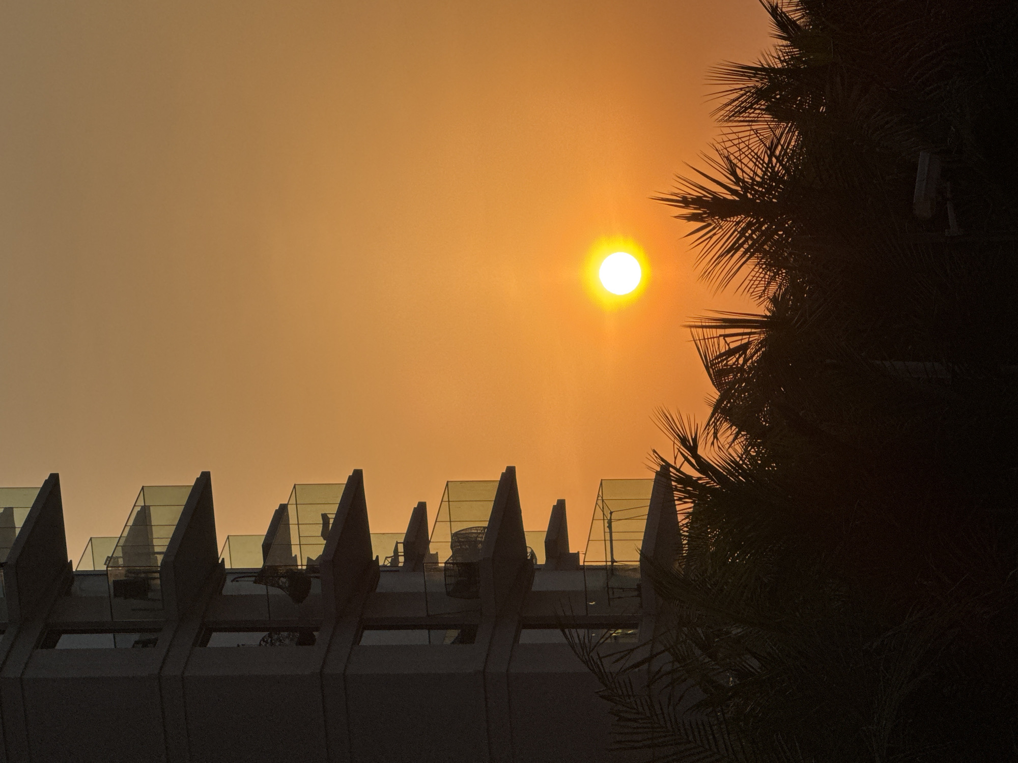 The image captures a building with multiple balconies during sunset in Dubai, United Arab Emirates. The sky is a warm orange, indicating the setting sun which is visible as a bright white orb. Silhouetted palm trees are in the foreground, obscuring the lower portion of the building and the ground. The building itself is modern, with glass railings on the balconies. The overall scene is bathed in the soft, warm light of dusk.