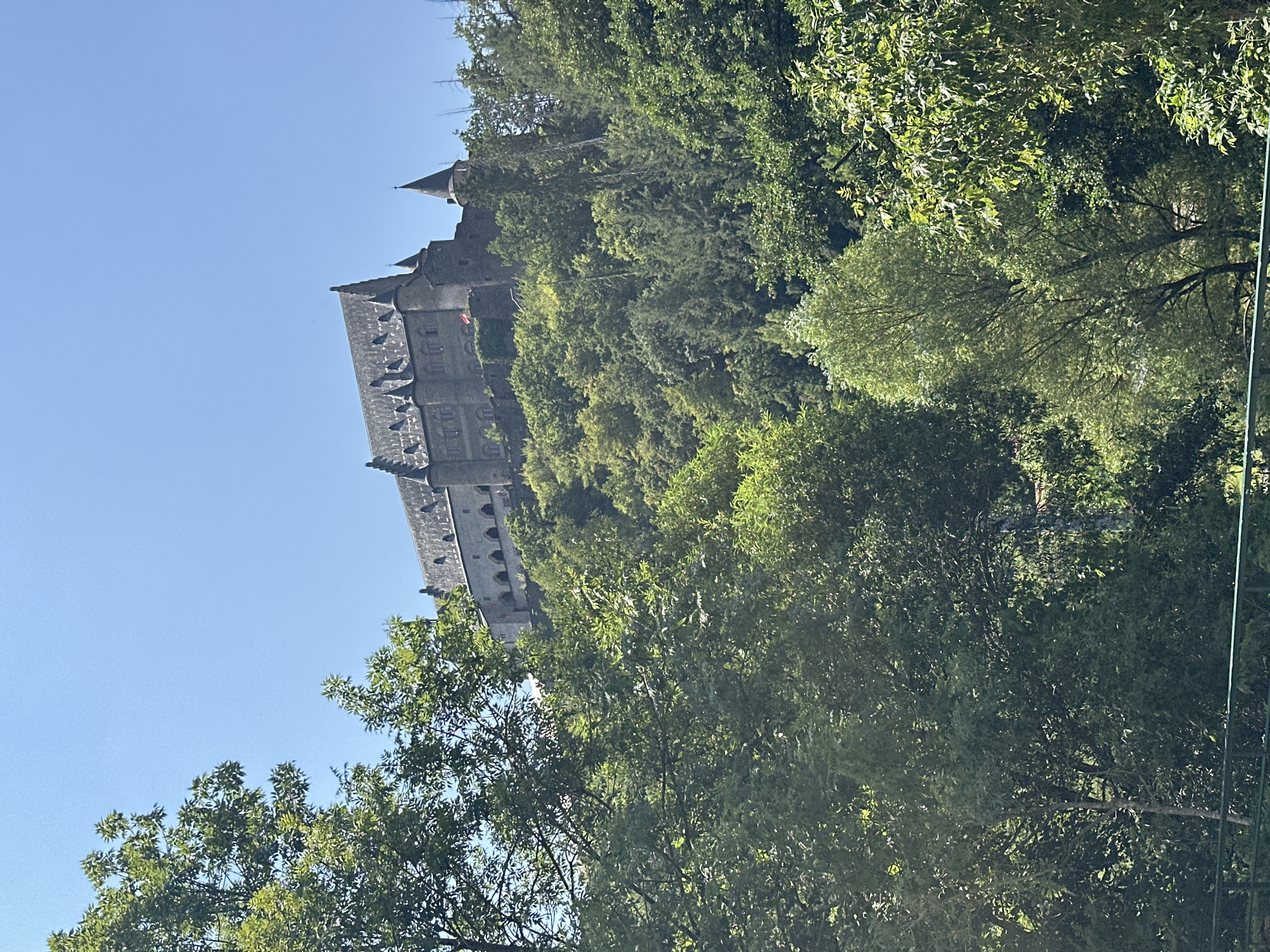The image shows Vianden Castle, a medieval castle located in Vianden, Luxembourg. The castle is perched atop a hill and is surrounded by lush greenery, with dense trees in the foreground and on the slopes leading up to the castle. The sky is a clear, bright blue. The castle itself is a large, imposing structure with stone walls, multiple towers, and a steeply pitched roof. A red flag is visible flying from one of the castle's towers. The lower part of the image shows more trees and a dark green railing in the foreground, suggesting this view is from a lower vantage point, possibly a park or a street.