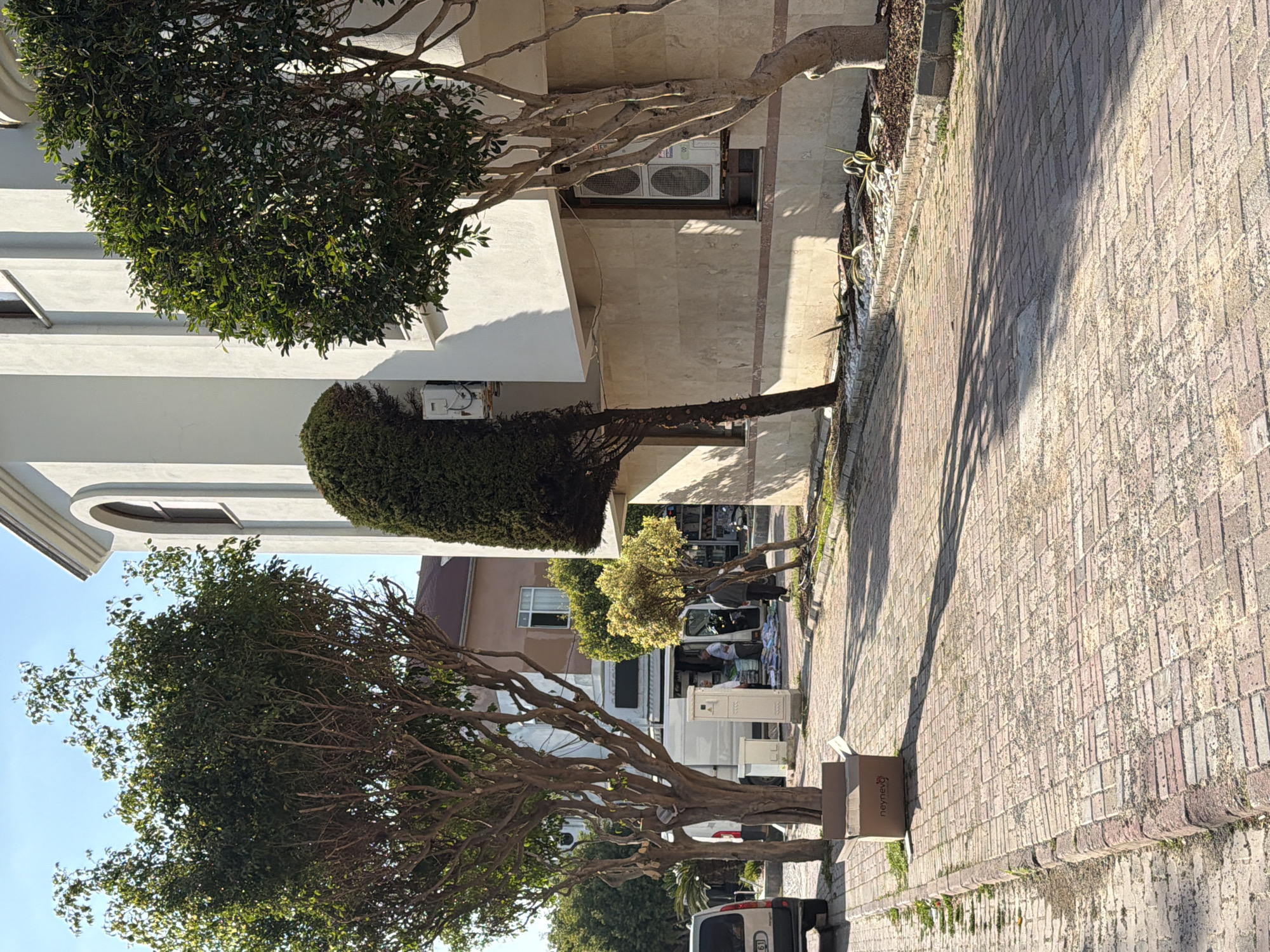 This image captures a bright, sunny street scene in Alanya, Turkey, featuring buildings, lush trees, and a paved pedestrian area. The perspective is from the sidewalk, looking down a street lined with structures.
On the left, there are multi-story buildings, predominantly white or light-colored, showcasing some arched architectural details and balconies. Several air conditioning units are visible on the exterior walls, with "LG" clearly legible on one set.
Numerous trees with dense green foliage are scattered throughout the scene, some with thick, winding trunks and branches. These trees cast long, distinct shadows across the buildings and the brick-patterned sidewalk, indicating a clear sky and either morning or afternoon sunlight. Along the edge of the sidewalk, there's a narrow strip of earth with some small plants and decorative white stones.
In the mid-ground, a white van is parked partially on the street, partially on the sidewalk. Two individuals are visible near the rear of the van; one is partially obscured, while the other appears to be handling items, possibly for sale or delivery, from the back of the vehicle. Nearby, a white utility box or cabinet stands on the pavement.
Further down the street, the back of a dark-colored vehicle (possibly another van or car) is visible, with a partial license plate showing "61". On the sidewalk in the foreground, a cardboard box is placed, with the brand name "neymex" clearly visible on its side.
The overall scene depicts a typical urban environment, bustling with everyday activity under clear skies.