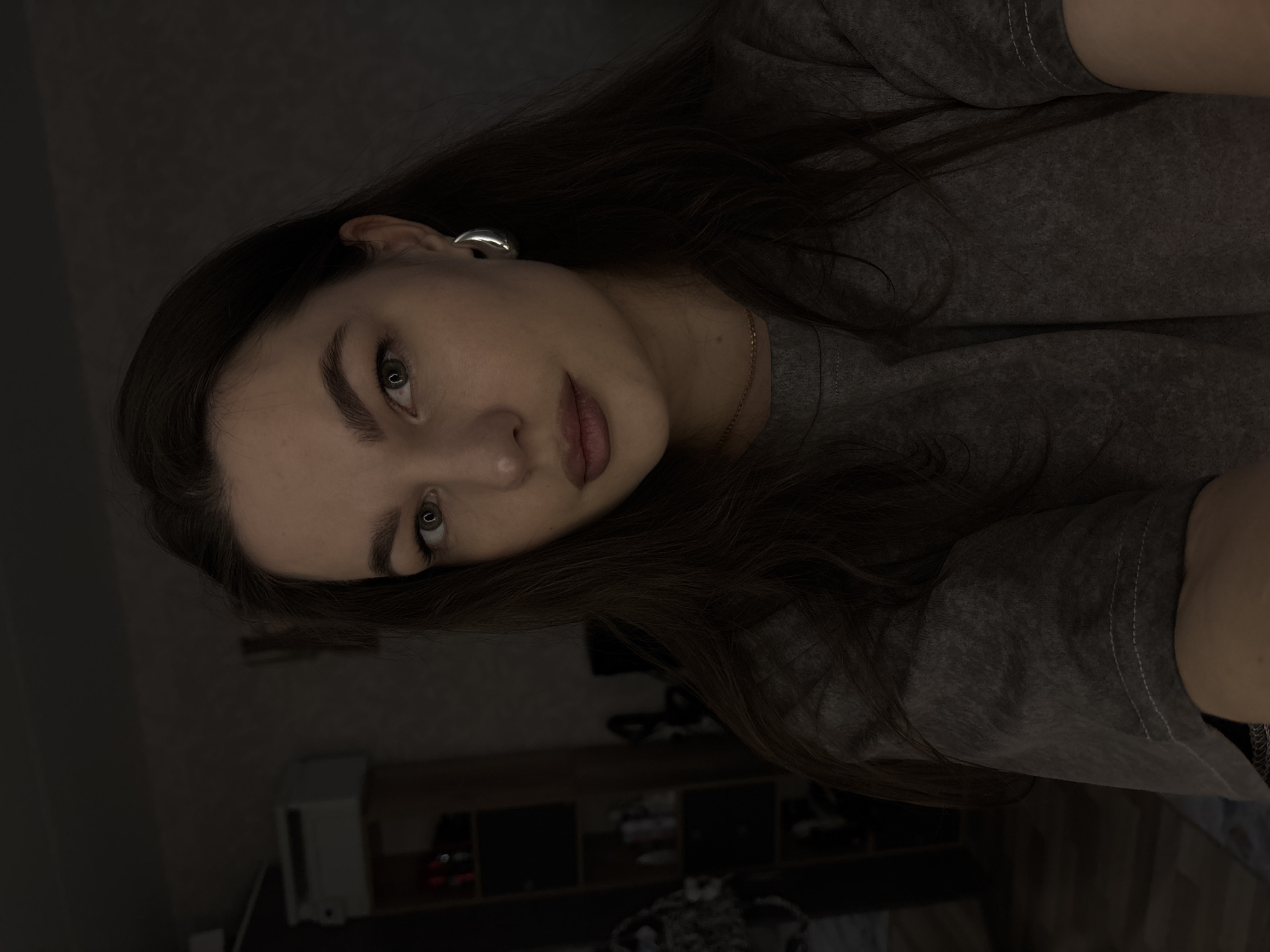 A dimly lit, indoor portrait depicts a young woman with long, dark brown hair, fair skin, and light-colored eyes. She is wearing a gray t-shirt and a silver earring is visible in her left ear. A thin gold necklace is around her neck. The background is dark but a shelf unit with various objects on it can be made out, along with a white storage unit and what appears to be a bed covered with clothes. The overall scene is underlit. There is no verifiable evidence that this photo was taken in Chaikovsky, Russia.