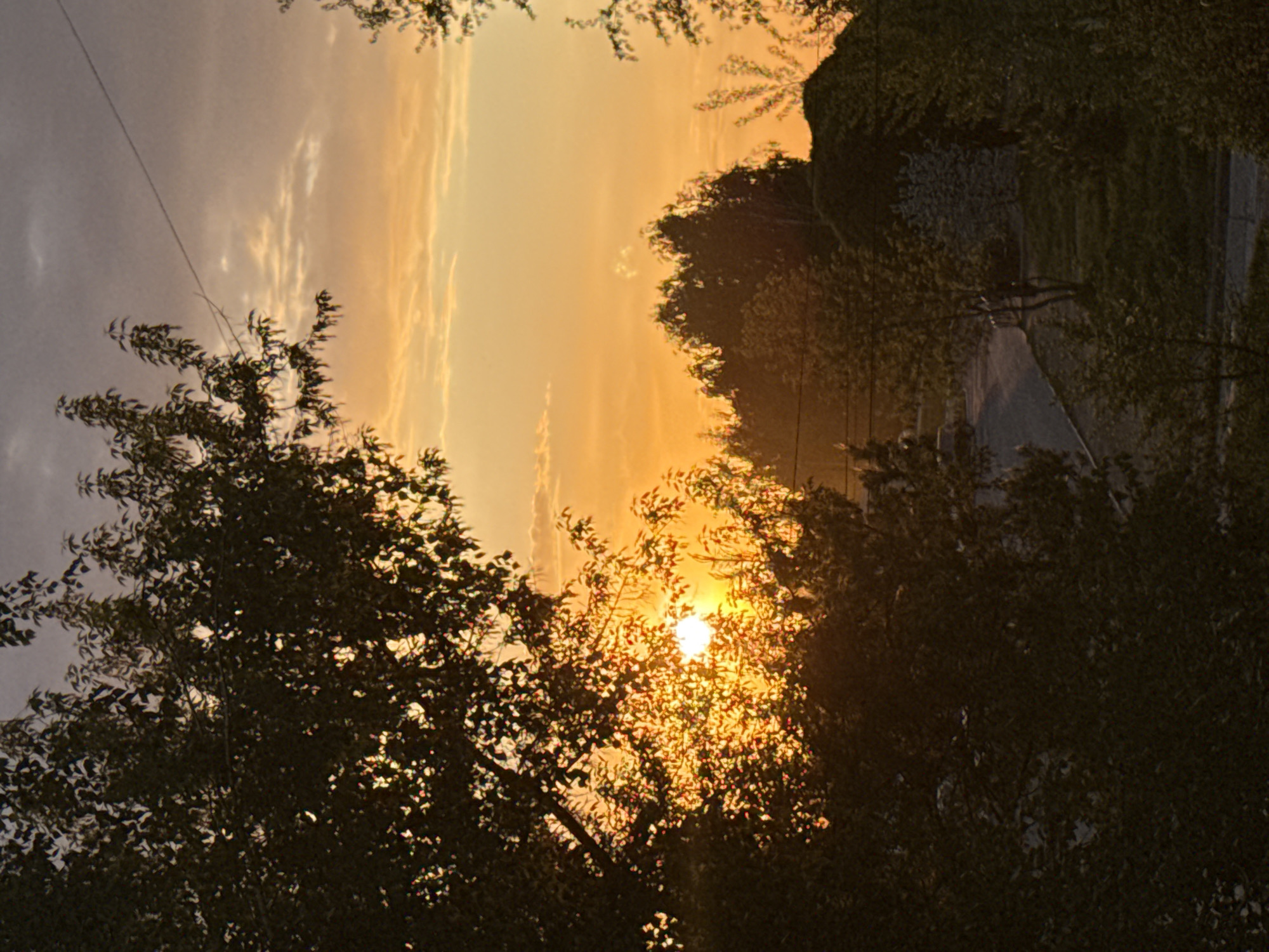 The image shows a sunset partially obscured by trees. The sky transitions from gray-white near the top left to orange towards the center where the sun is visible. The sun shines through the leaves of the trees, creating a speckled pattern of light and shadow. On the right side of the image, there's a darker mass of trees or foliage, and a road can be seen running alongside. Power lines are visible crossing the sky in the upper left area of the image. The location is Unknown, Unknown.