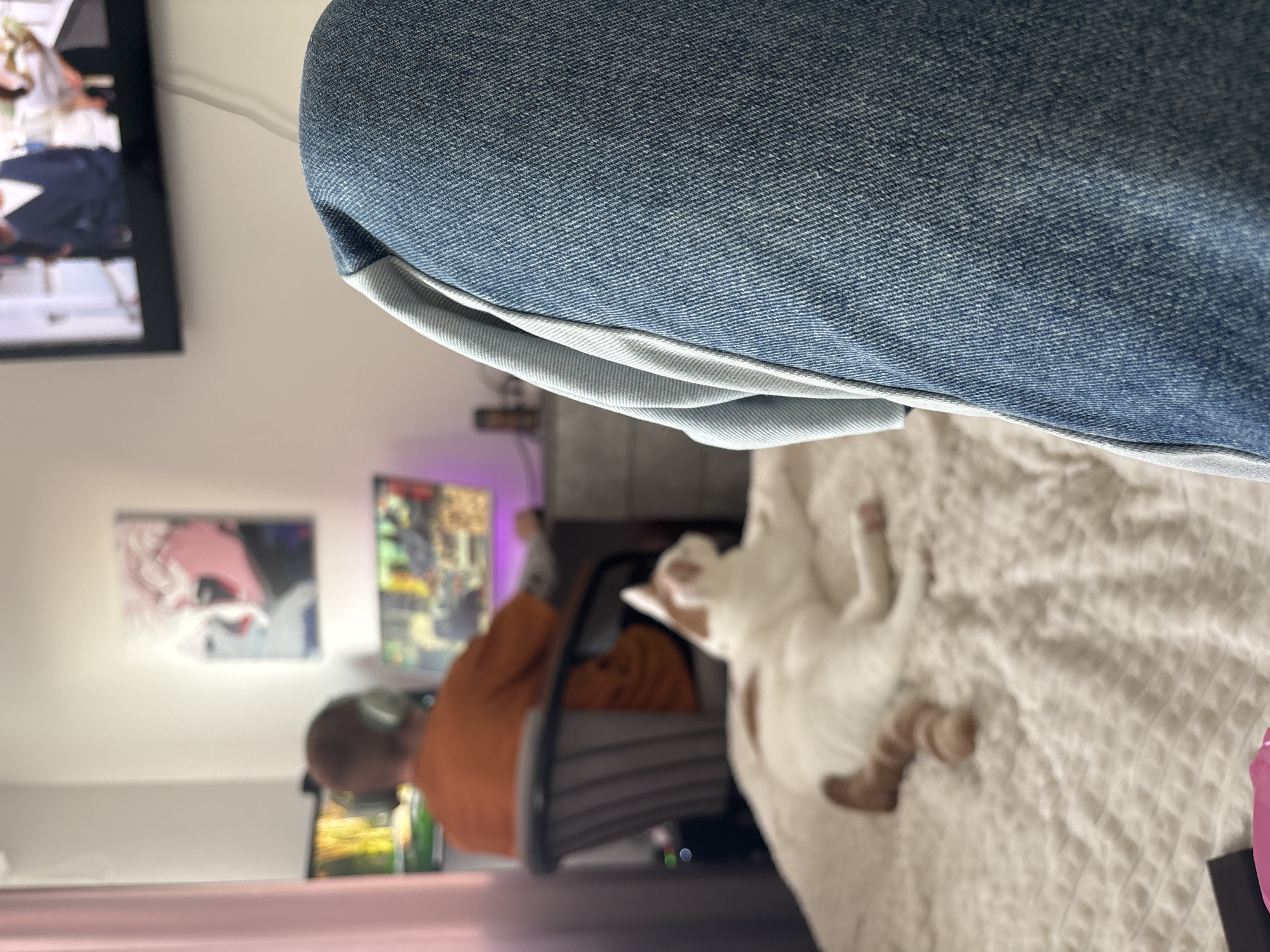 A person wearing blue jeans is seated on a bed with a white waffle-patterned blanket. A white cat with orange markings is lying on the bed. In the background, a man wearing an orange shirt is sitting in a grey chair in front of a computer screen. The room has a television on the wall and pictures hanging on the wall. The location is unknown and cannot be determined to be Vsevolozhsk, Russia.