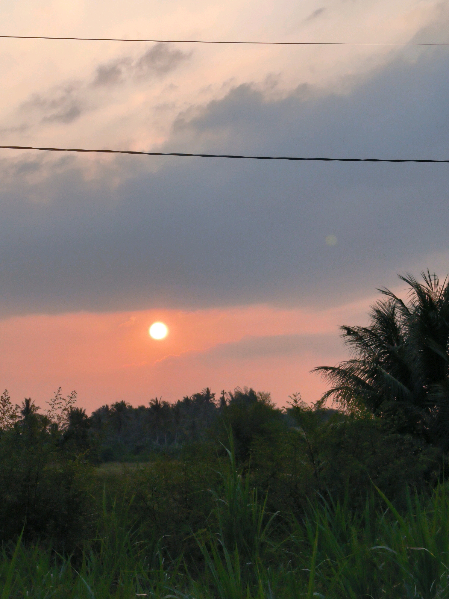 This is a photograph of a sunset over a rural landscape, likely in Lhokseumawe, Indonesia. The sky is filled with soft, muted colors of orange and pink, with large, dark gray clouds obscuring parts of the sky. The sun is a bright, glowing orb positioned in the upper left quadrant of the image. A dense line of trees, including palm trees, stretches across the middle ground, forming a dark silhouette against the colorful sky. In the foreground, tall, green grass and other vegetation are visible, creating a natural border. Two power lines are stretched horizontally across the upper portion of the image, one in the top quarter and another lower down, just above the tree line. There are no people or animals visible in the frame. The overall impression is one of peaceful twilight in a natural, undeveloped setting.
