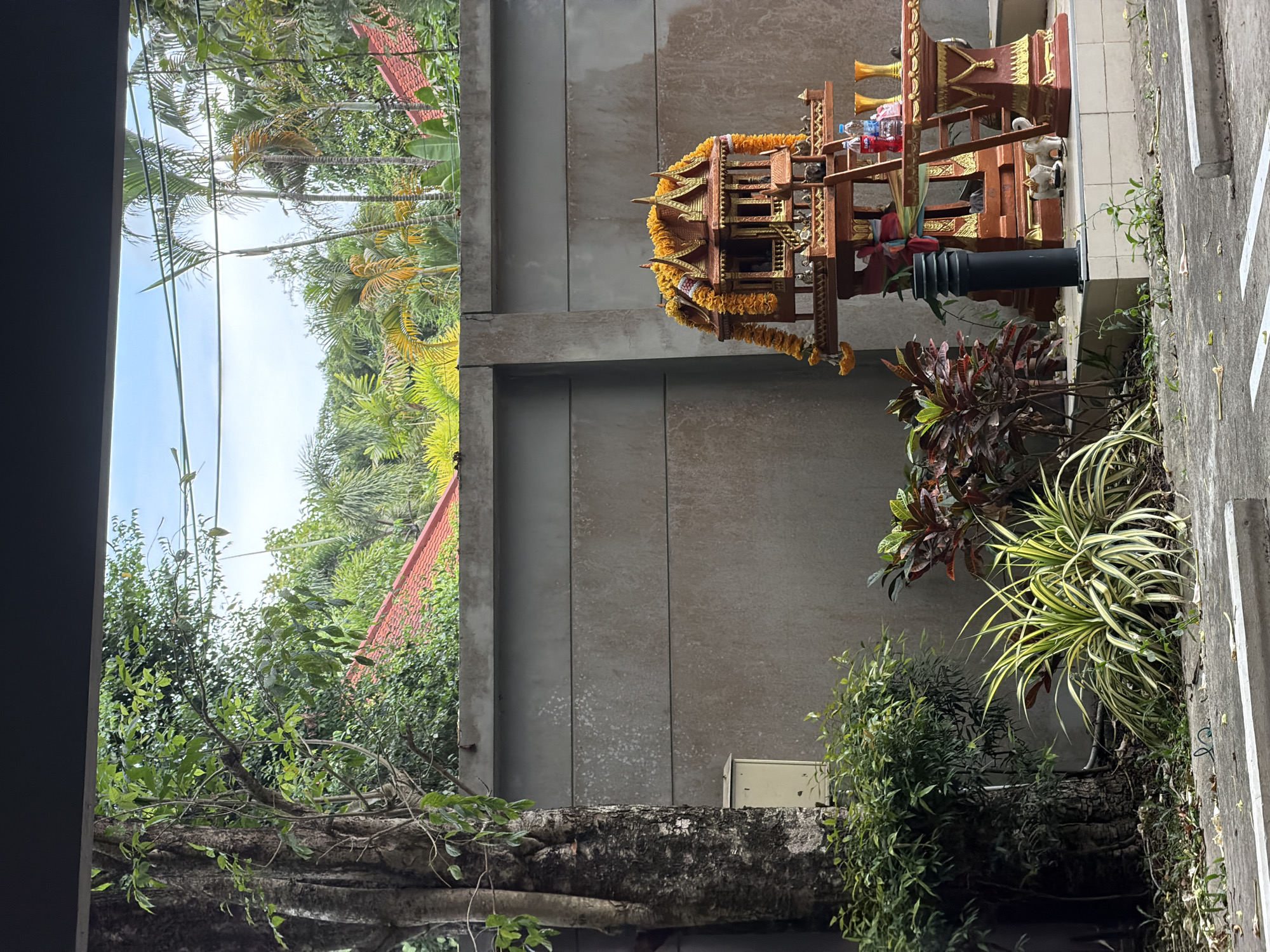A spirit house sits atop a concrete post next to a concrete wall overgrown with plants in Choeng Thale, Thailand. The spirit house is decorated with yellow garlands and houses figurines and offerings. Behind the wall, a lush, tropical landscape with palm trees and red-roofed buildings is visible. A large tree trunk with vines extends along the bottom of the wall.