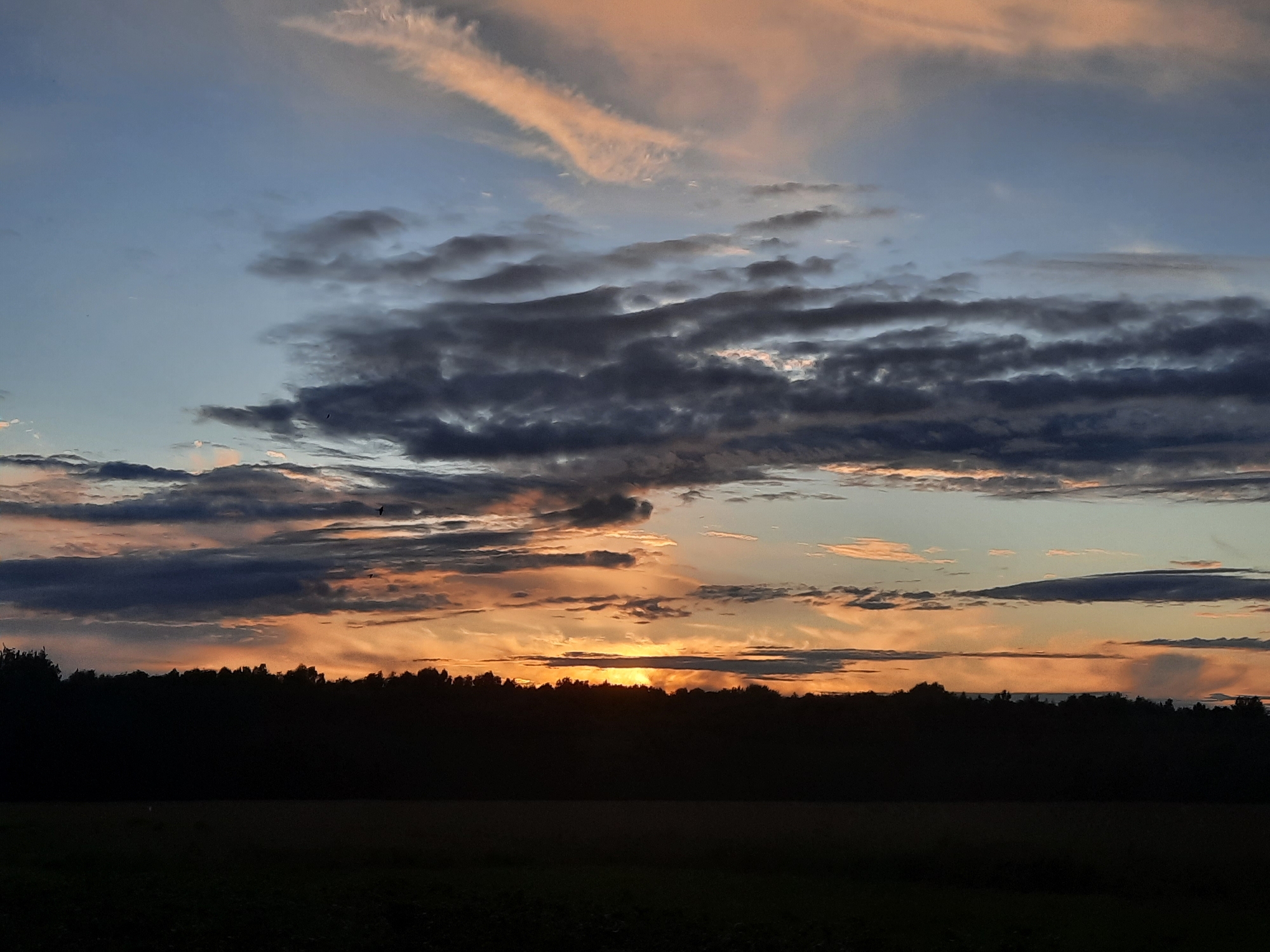 An outdoor, eye-level, wide shot captures a silhouetted treeline against a dramatic sunset. The sky is a canvas of blues and oranges, with streaks of pink and peach painted across it by scattered clouds. Dark, dense clouds gather closer to the horizon, while lighter, wispy clouds drift higher up. The sun, a bright orange glow, is partially obscured by the treeline, casting a warm light on the clouds. The treeline itself is a dark, uniform silhouette, with no discernible features of individual trees visible. Below the treeline, a field or open space is also silhouetted in darkness, with only faint hints of texture visible. The overall impression is one of a serene and vibrant sunset over a rural or natural landscape. There are no people, animals, or man-made structures visible in the image.