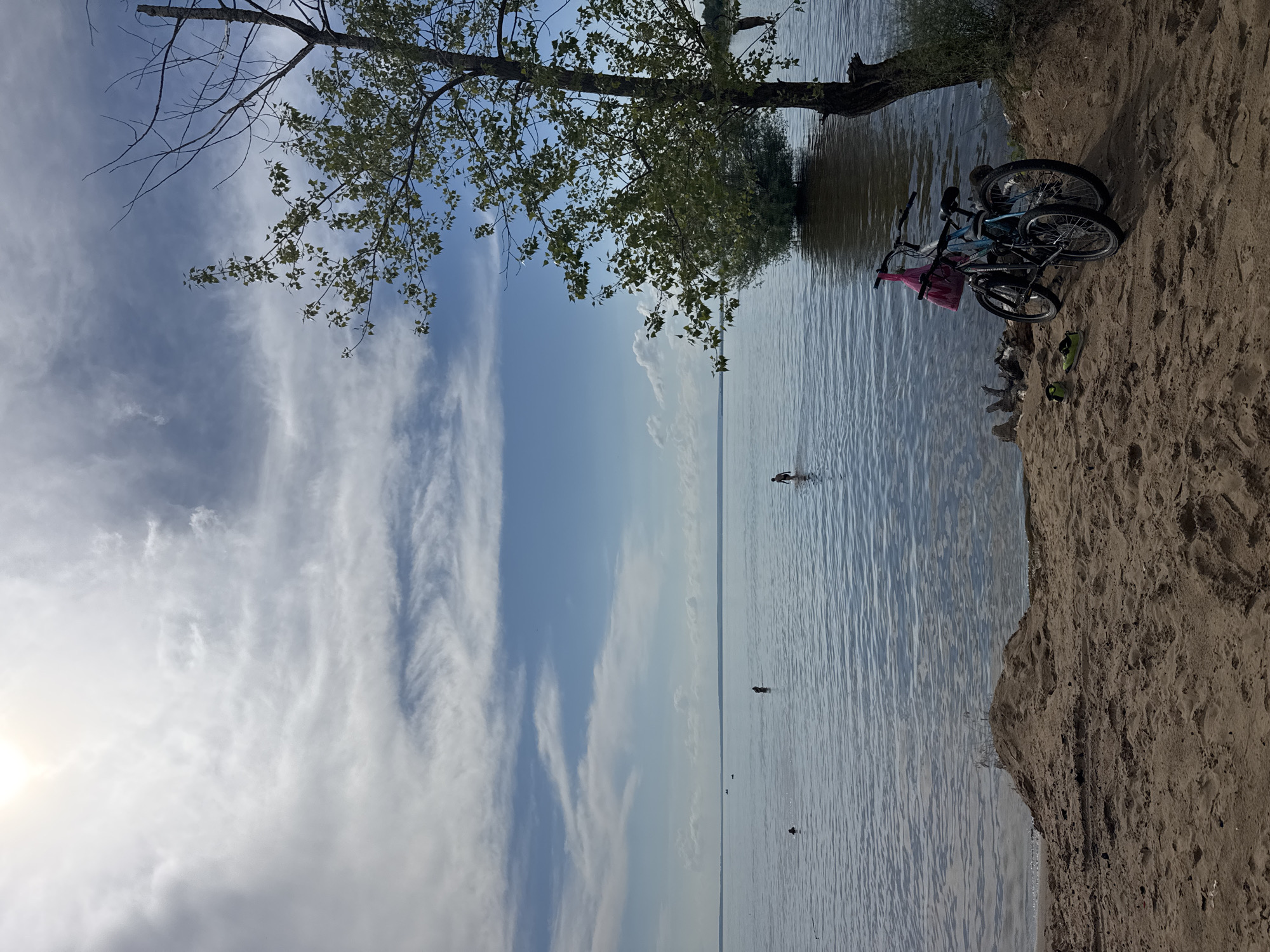 The image captures a serene outdoor scene by a body of water, likely a lake or large river, on a bright, partly cloudy day. In the foreground, a sandy bank slopes down to the water's edge, with two bicycles leaning on the sand. One bicycle is a lighter blue, and the other is darker. A pink bag is attached to the handlebars of the lighter blue bicycle. A single green shoe is also visible on the sand near the bicycles.
The water's surface is calm, with gentle ripples reflecting the sky. Several people are visible wading in the water at various distances from the shore. One person is standing further out, appearing to swim or play in the water. The sky is a pale blue, adorned with wispy white clouds. Sunlight is visible in the upper left corner, suggesting it is daytime, likely late morning or early afternoon.
A large tree with green foliage extends from the upper left of the frame, its branches reaching out over the water and sandy bank. The overall impression is one of a leisurely day spent outdoors by the water, with activities like cycling and swimming. There is no visible text in the image.