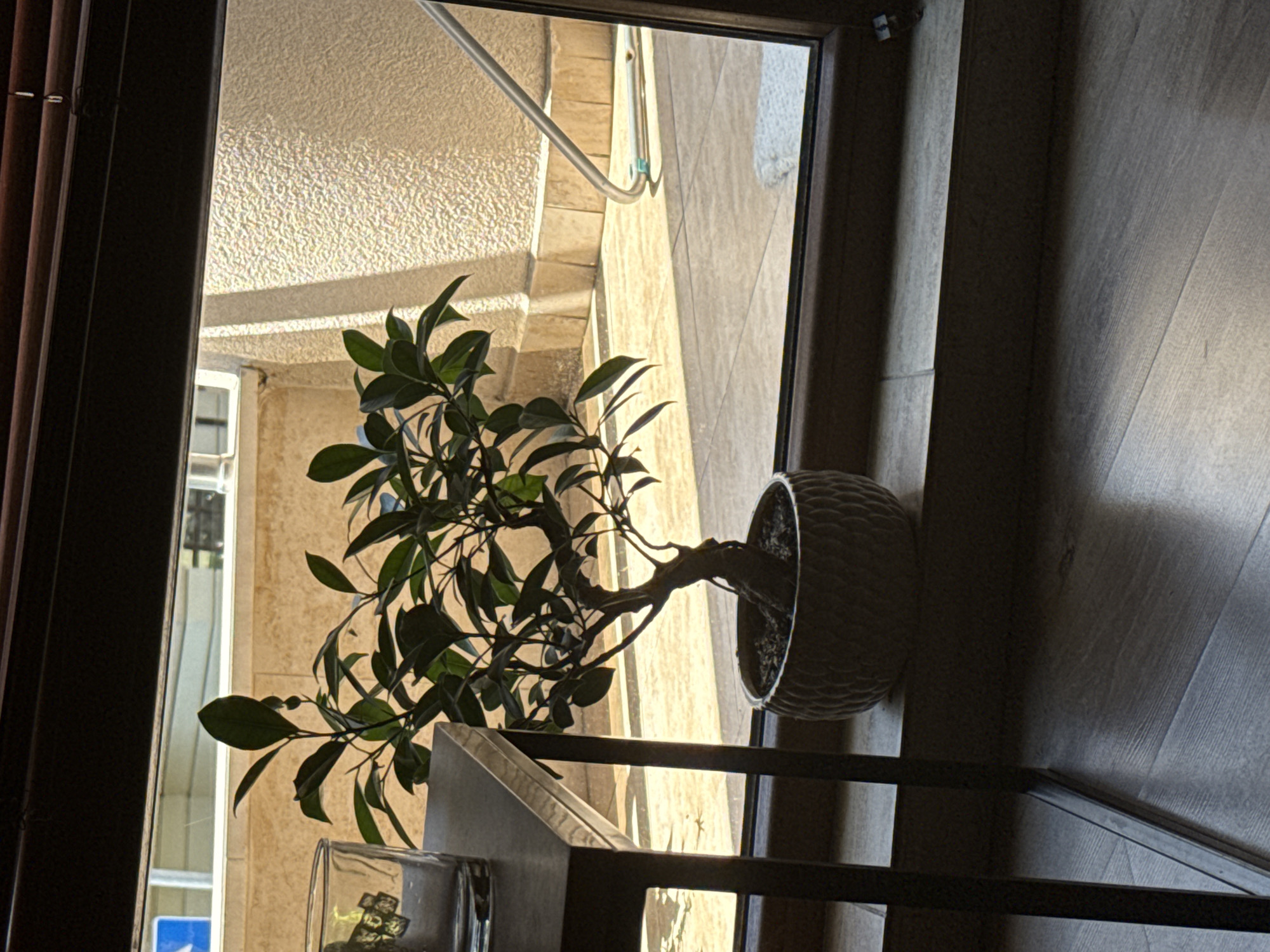 The image shows a potted bonsai tree placed on a windowsill, viewed from inside a room. To the left of the tree is a glass, partially filled with liquid, resting on a side table. The windowsill appears to be made of light-colored tiles. Outside the window, a tiled patio area is visible, with shadows cast by the sun. A metallic pole, possibly part of a cleaning tool, lies on the patio. The background outside shows a textured wall and hints of buildings. The overall lighting suggests it is daytime, with sunlight entering the scene and creating strong contrasts between light and shadow. There are no people or animals visible in the image.