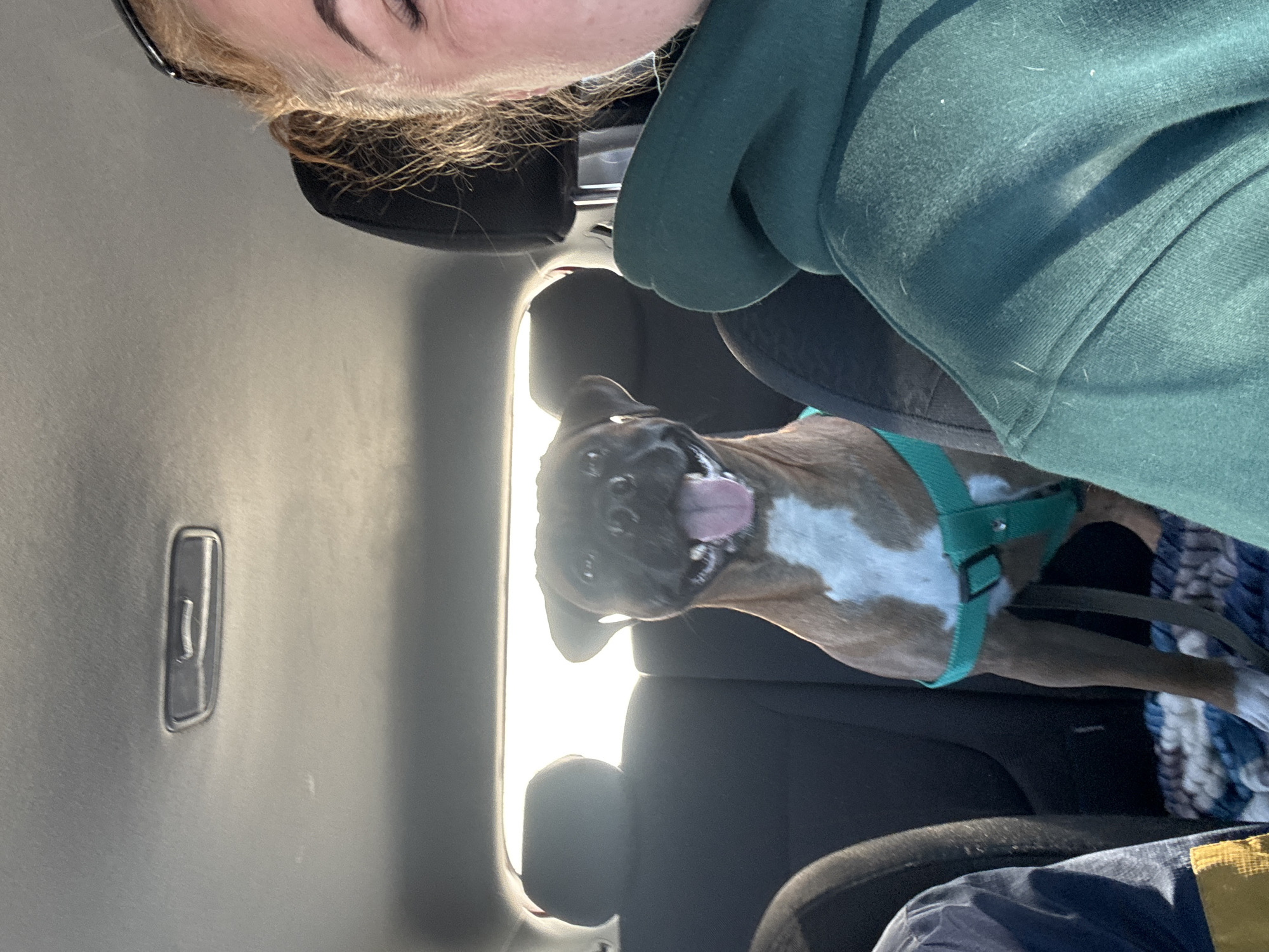 The image shows a person and a dog inside a car. The person is wearing a green hoodie and appears to be taking a selfie. The dog, possibly a boxer breed, is wearing a green harness and is positioned near the back seat. The car interior is visible, with a door panel and seats. The location in Chaikovsky, Russia is not ascertainable from the provided image.