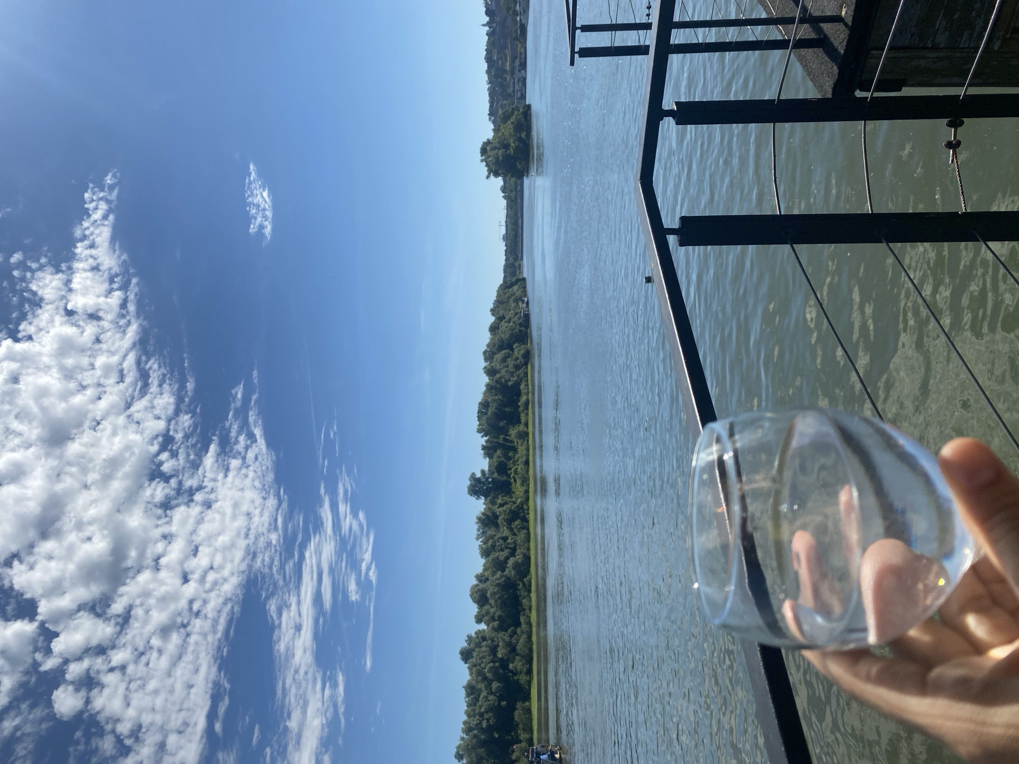 A hand holds a clear glass of water over a railing, with a wide river, lush green trees lining the far bank, and a bright blue sky with scattered white clouds in the background. The scene is viewed from a raised platform or deck, indicated by the metal railing. The river appears calm with gentle ripples. In the distance, a small island with trees is visible in the middle of the river. Beyond the island, the cityscape of Belgrade, Serbia, can be seen, with buildings and a bridge crossing the river. The overall atmosphere is serene and summery.